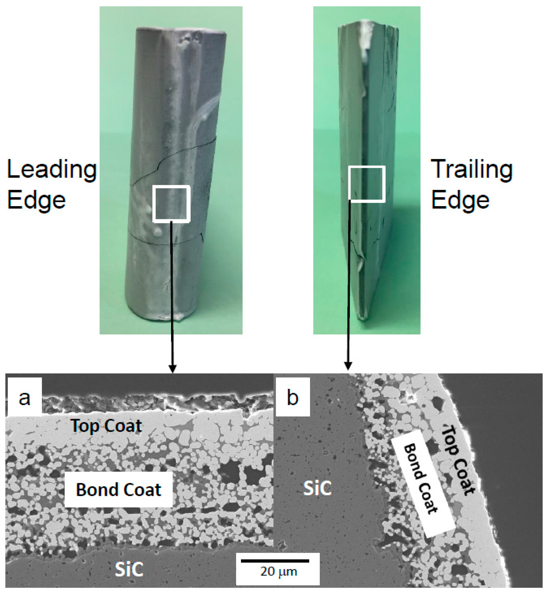 Coatings 12 01635 g008 Coatings 12 01635 g008
