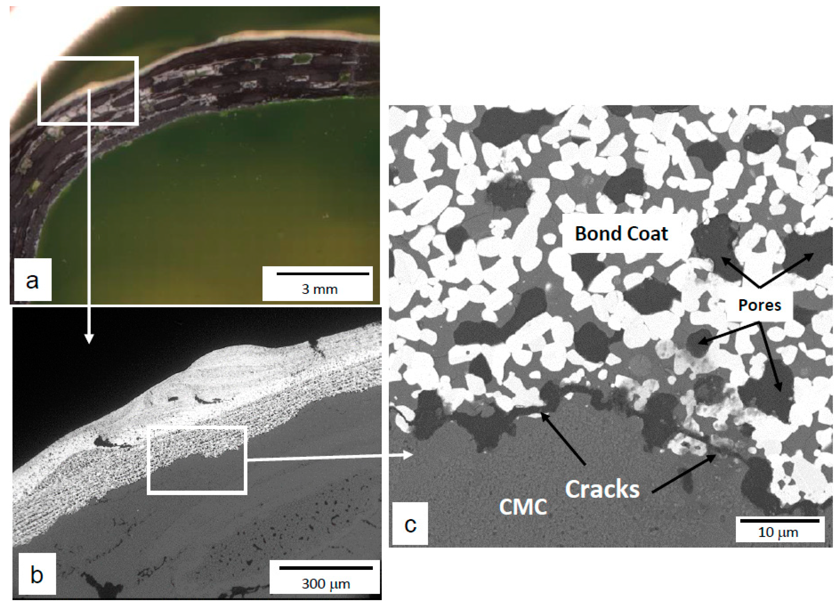 Coatings 12 01635 g010 Coatings 12 01635 g010