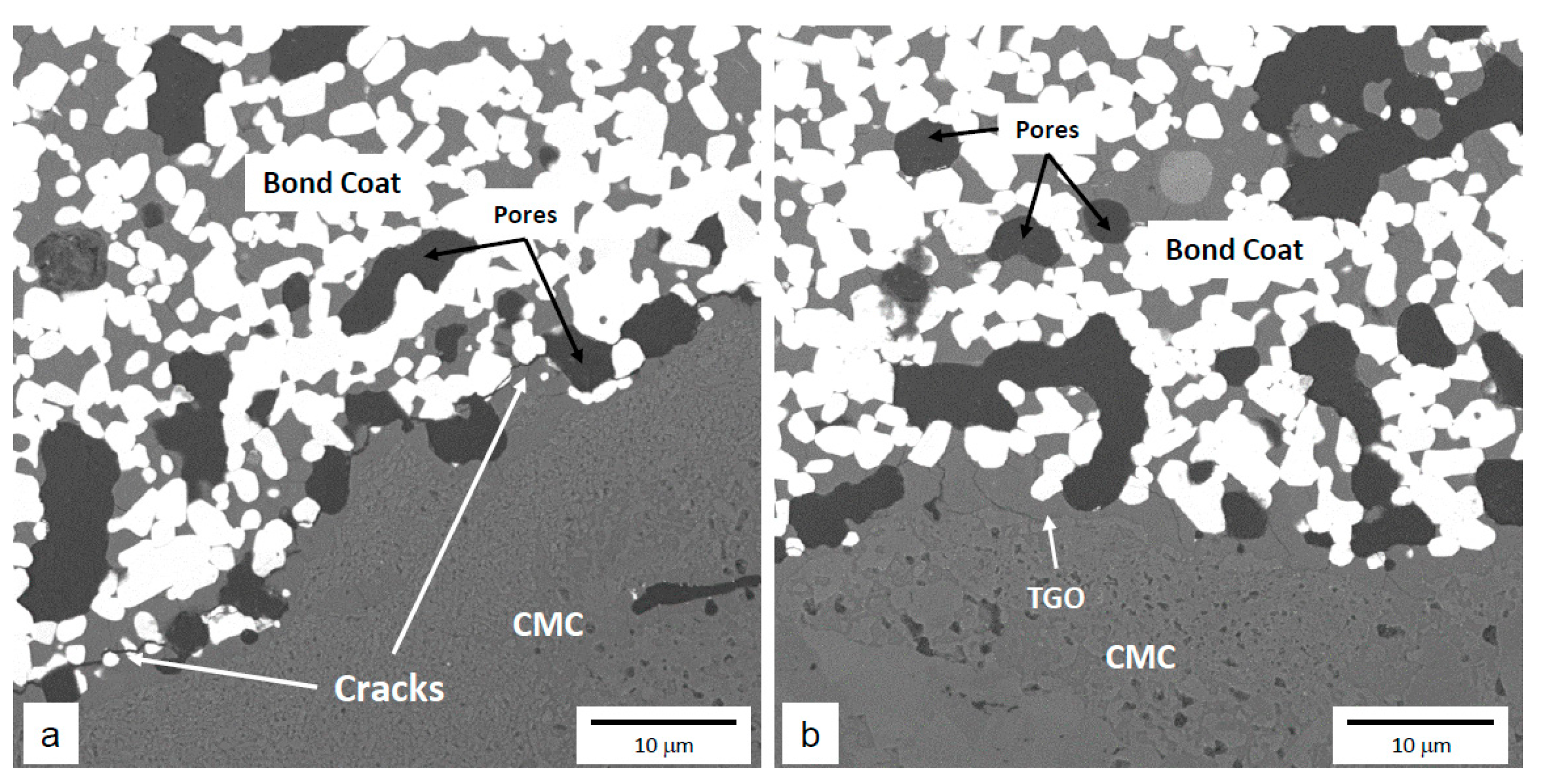 Coatings 12 01635 g011 Coatings 12 01635 g011