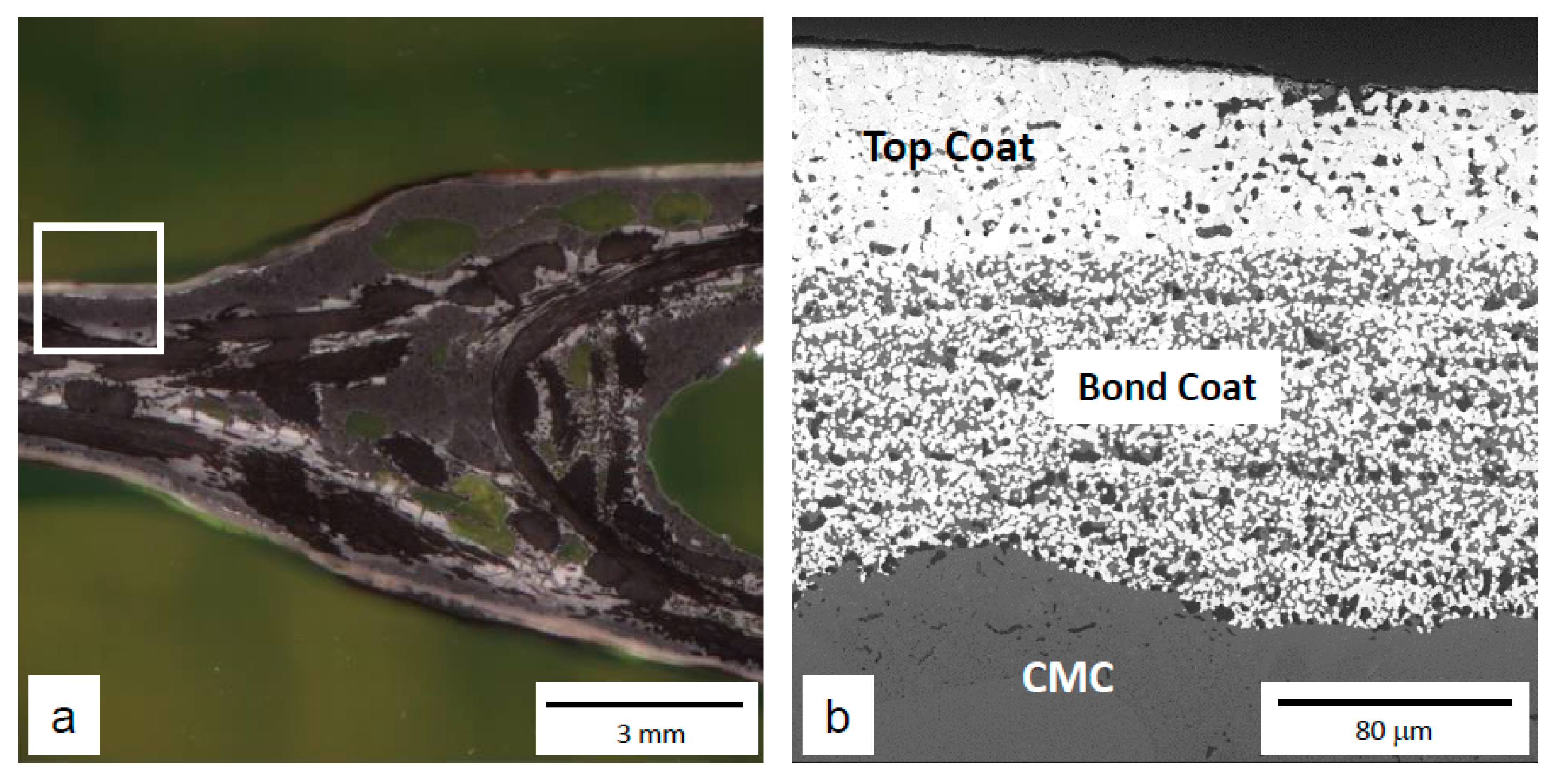 Coatings 12 01635 g012 Coatings 12 01635 g012