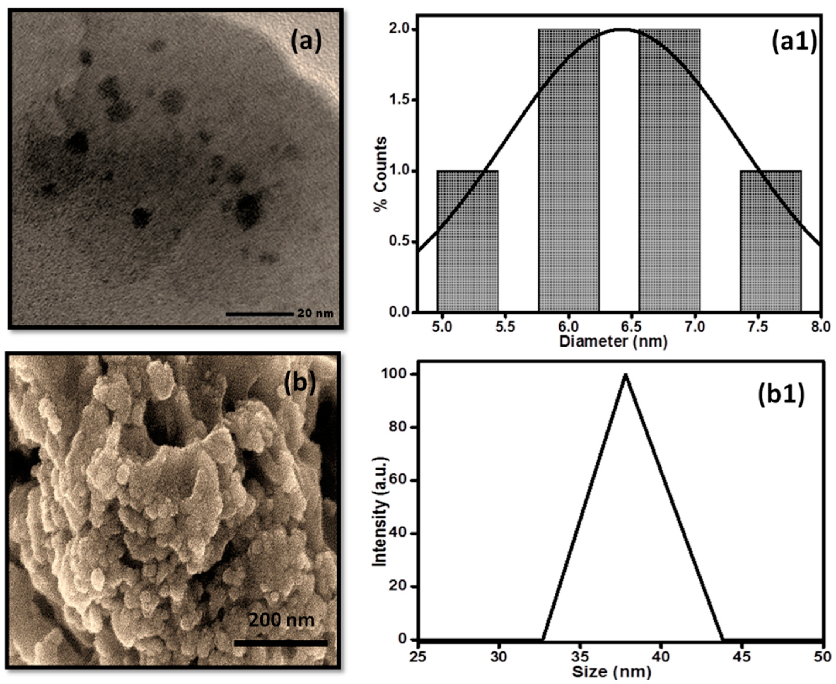 Coatings 12 01636 g002