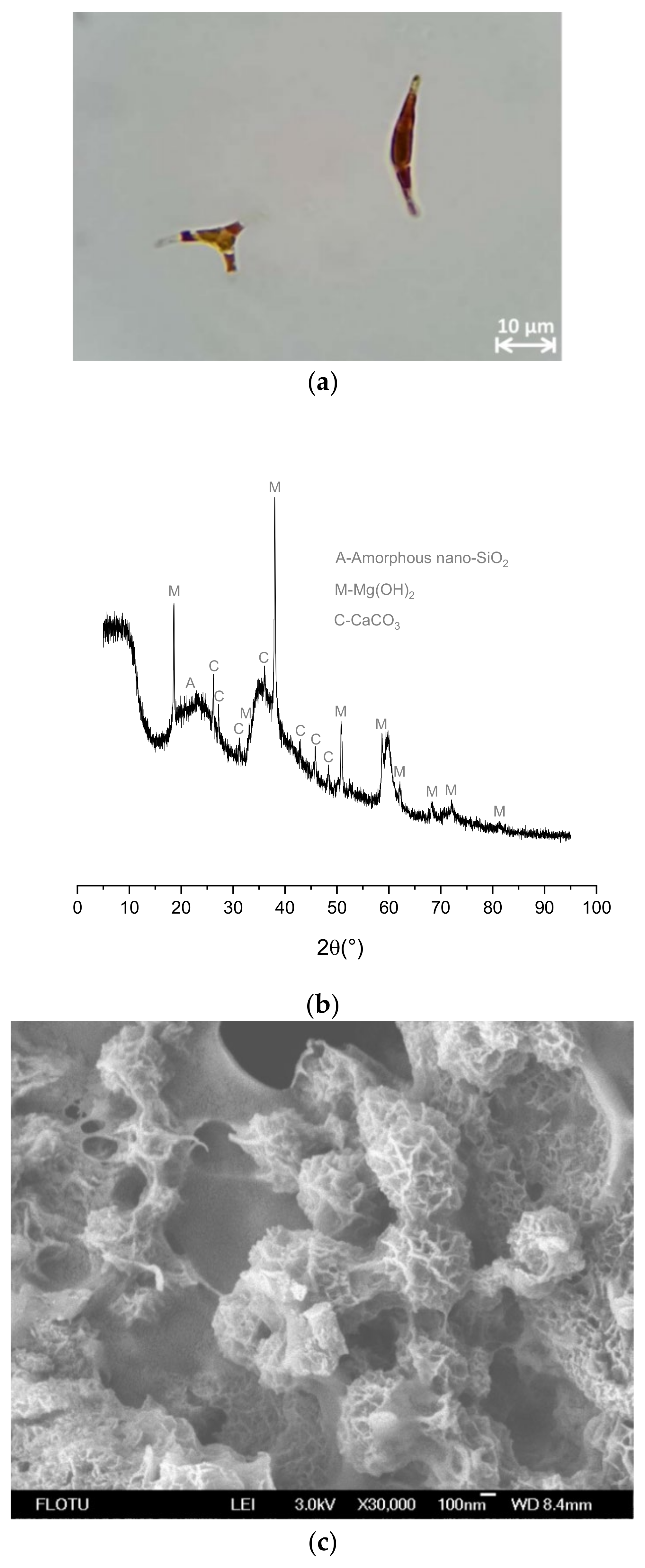 Coatings 12 01639 g001 Coatings 12 01639 g001