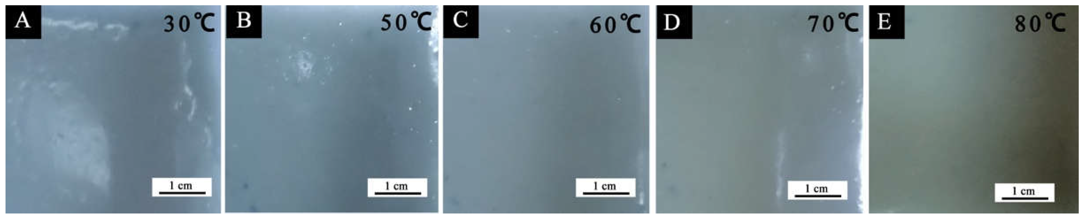 Coatings 12 01642 g006