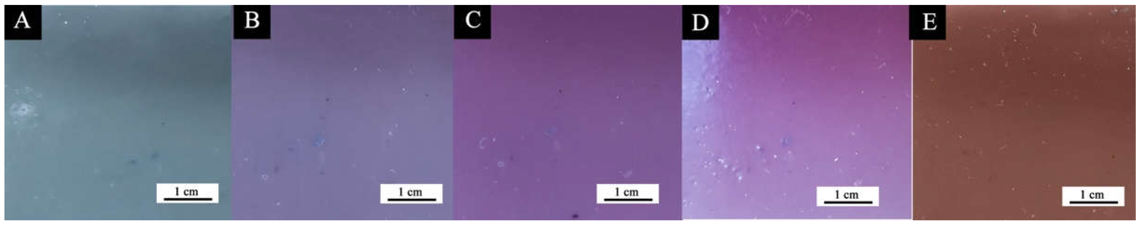 Coatings 12 01642 g007