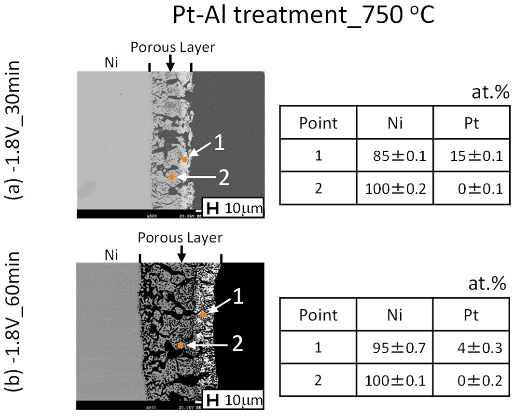 Coatings 12 01645 g008
