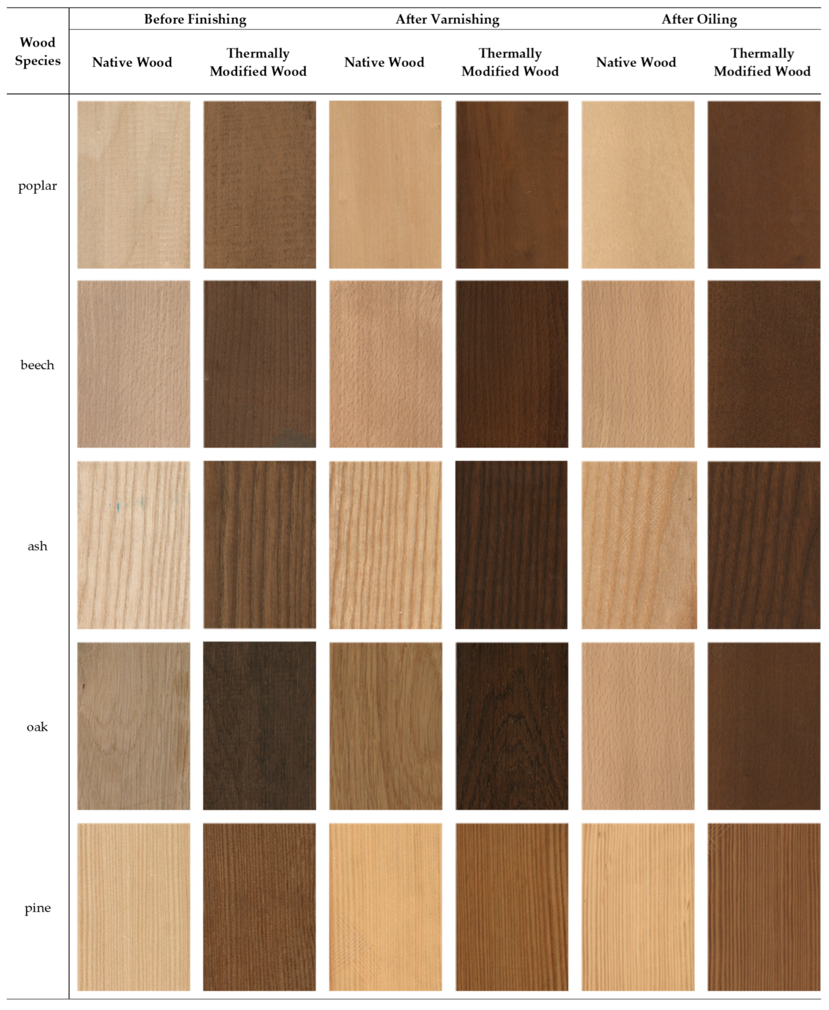 Coatings 12 01663 g004
