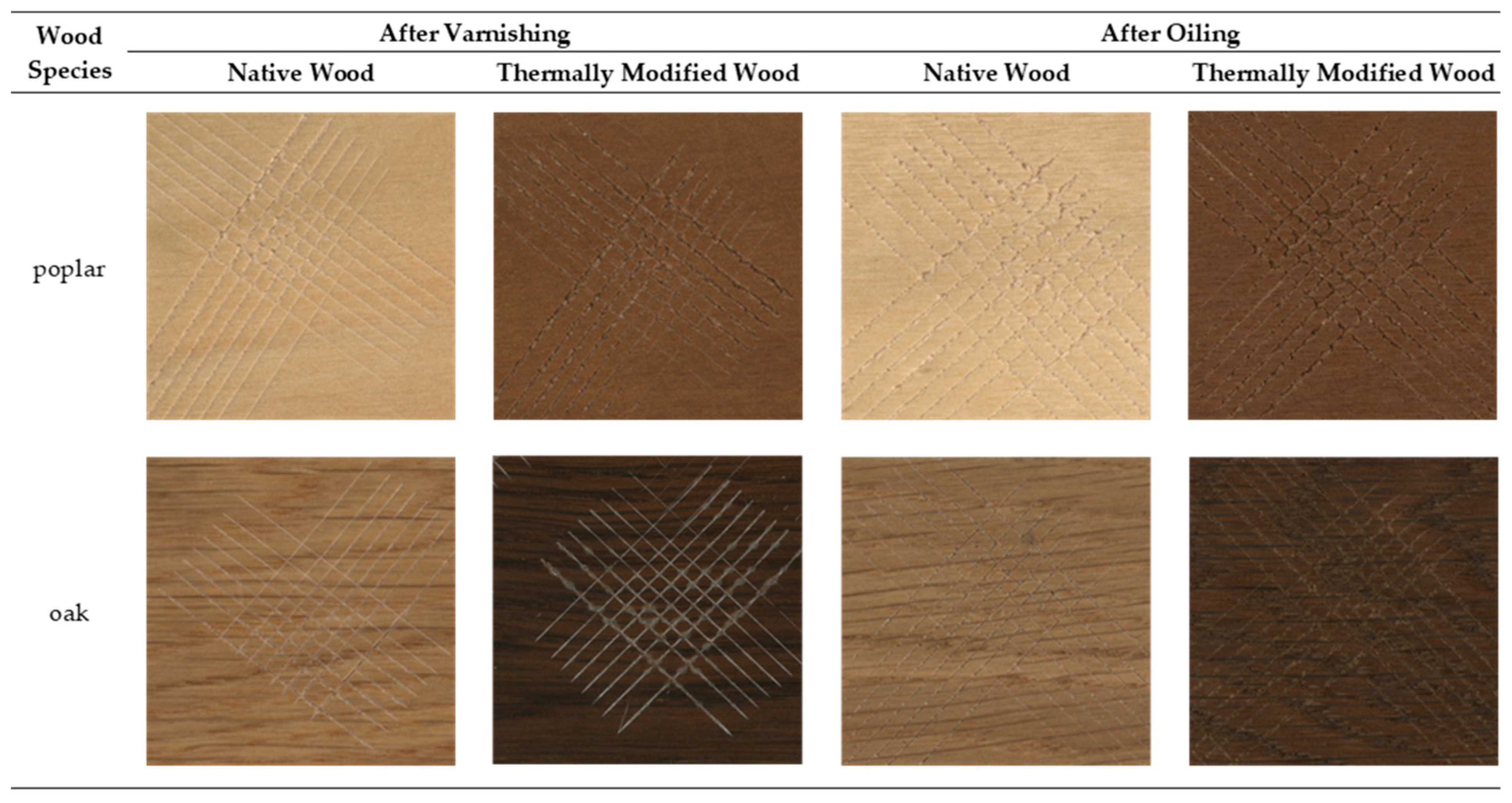 Coatings 12 01663 g010