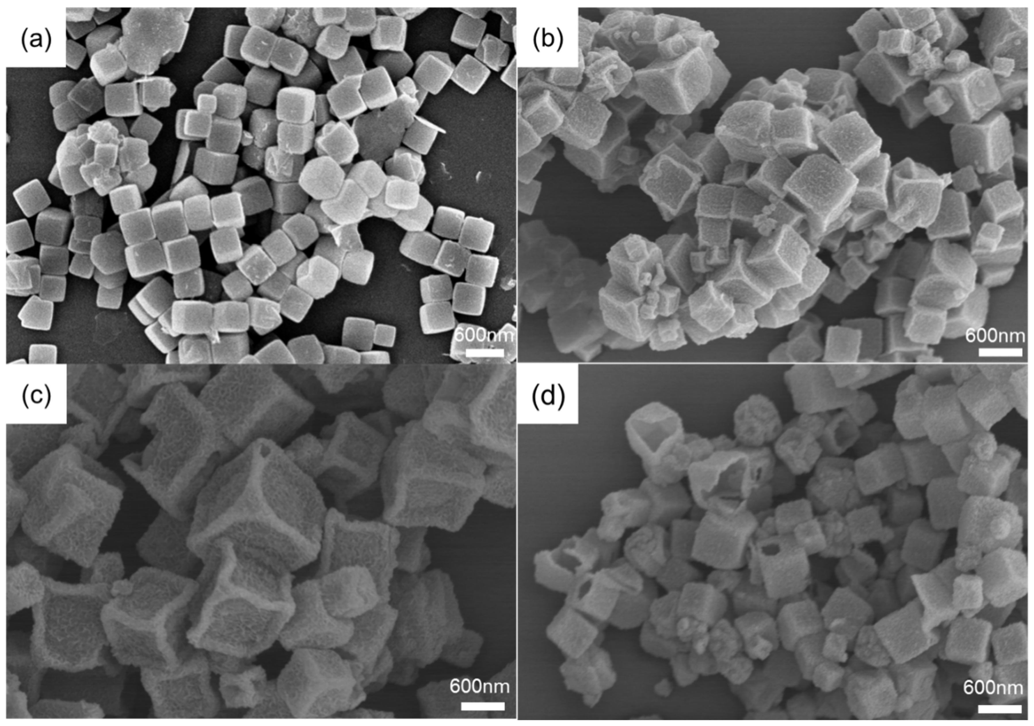 Coatings 12 01667 g002