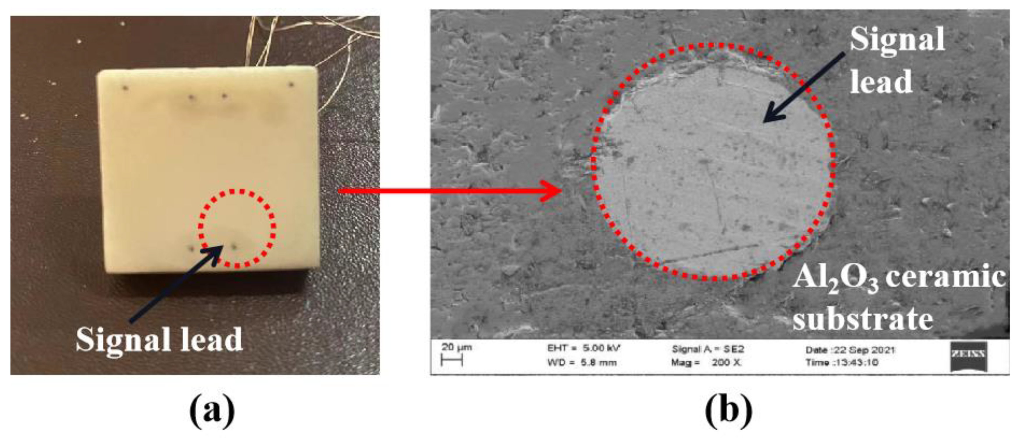 Coatings 12 01670 g003 Coatings 12 01670 g003