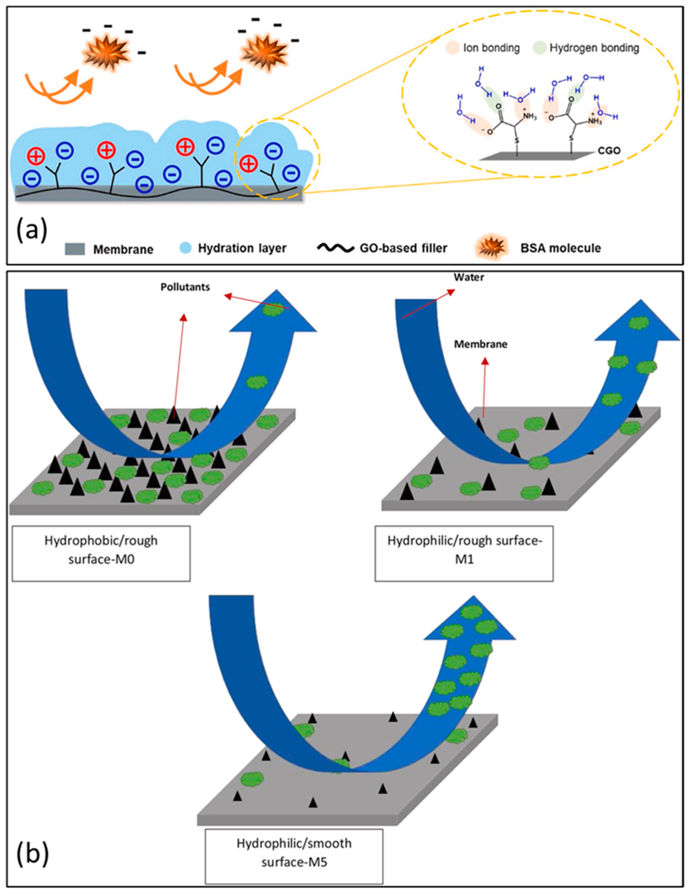 Coatings 12 01674 g010