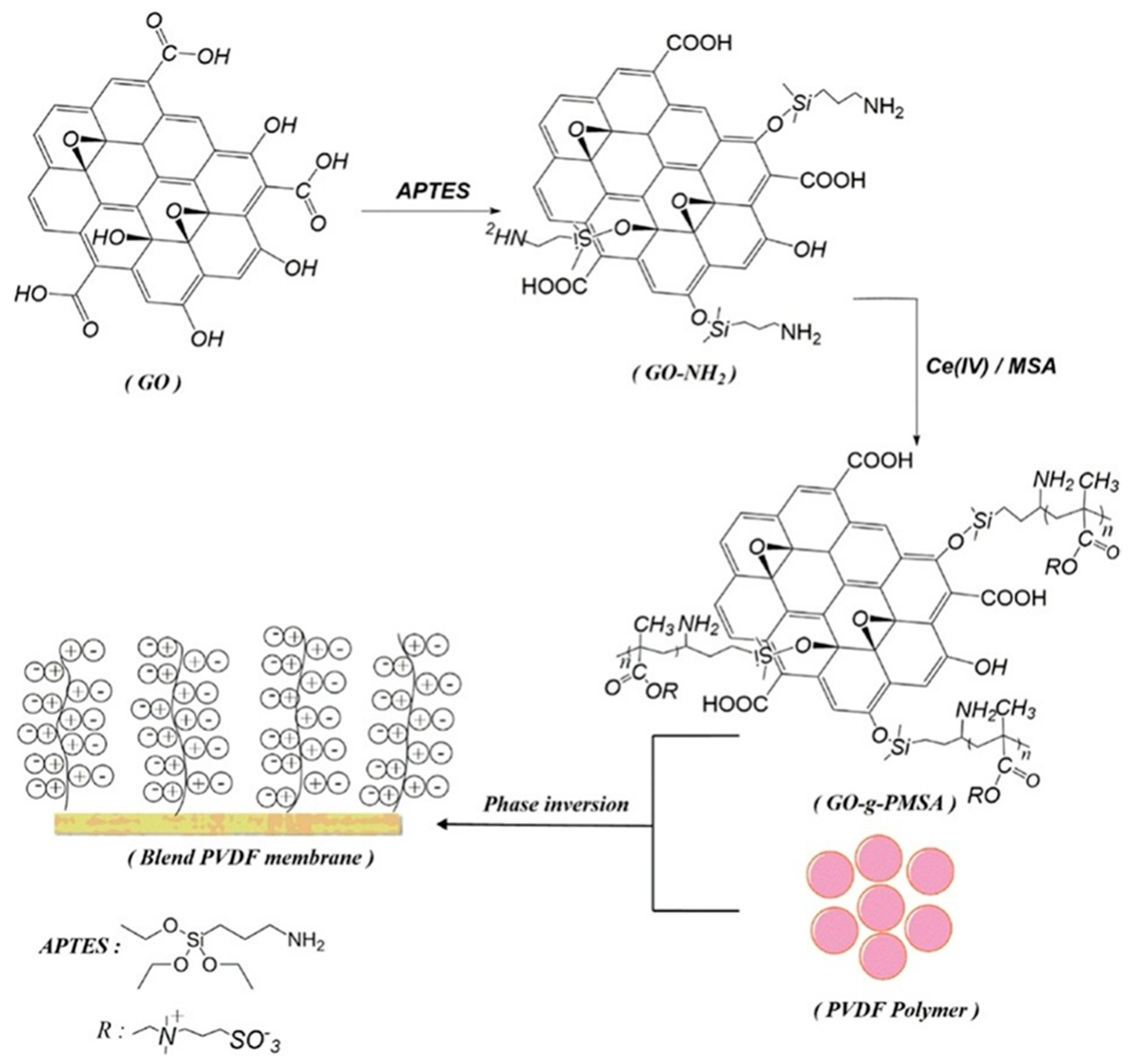 Coatings 12 01674 g011