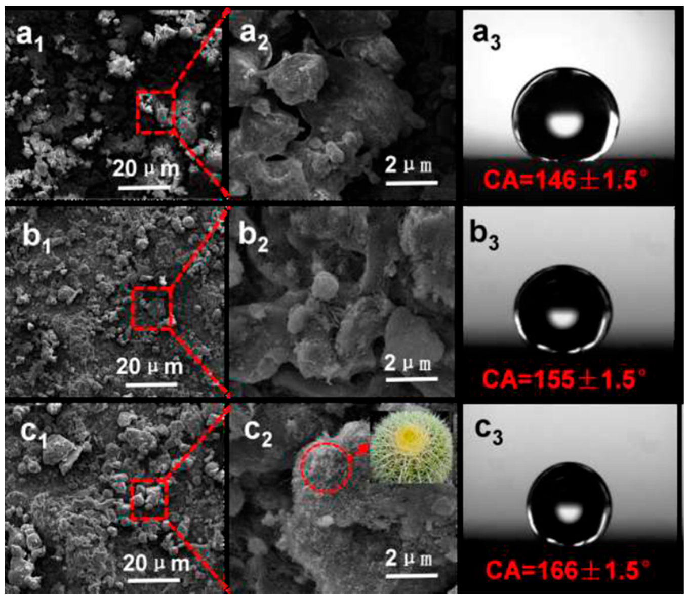 Coatings 12 01674 g014