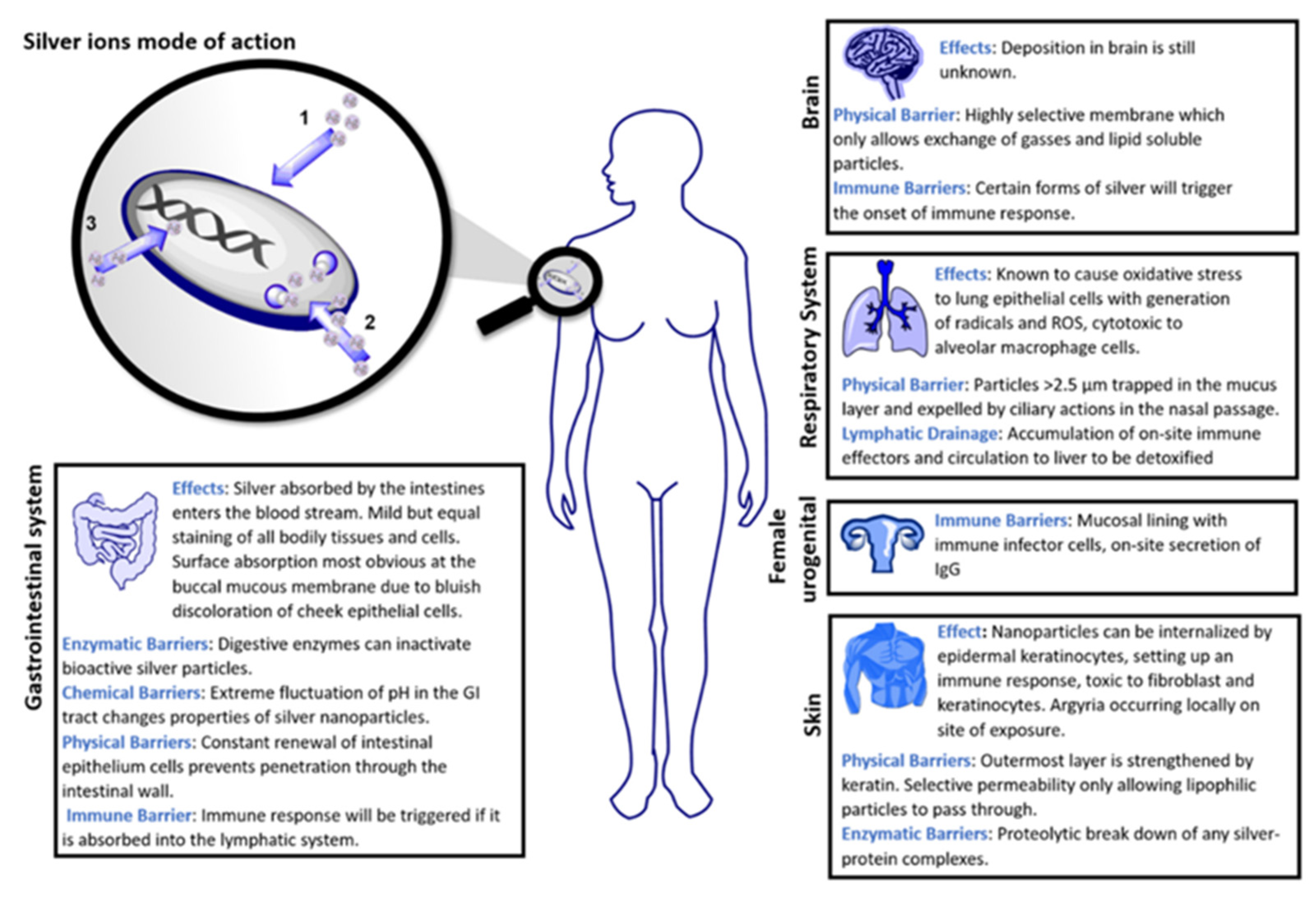 Coatings 12 01679 g003