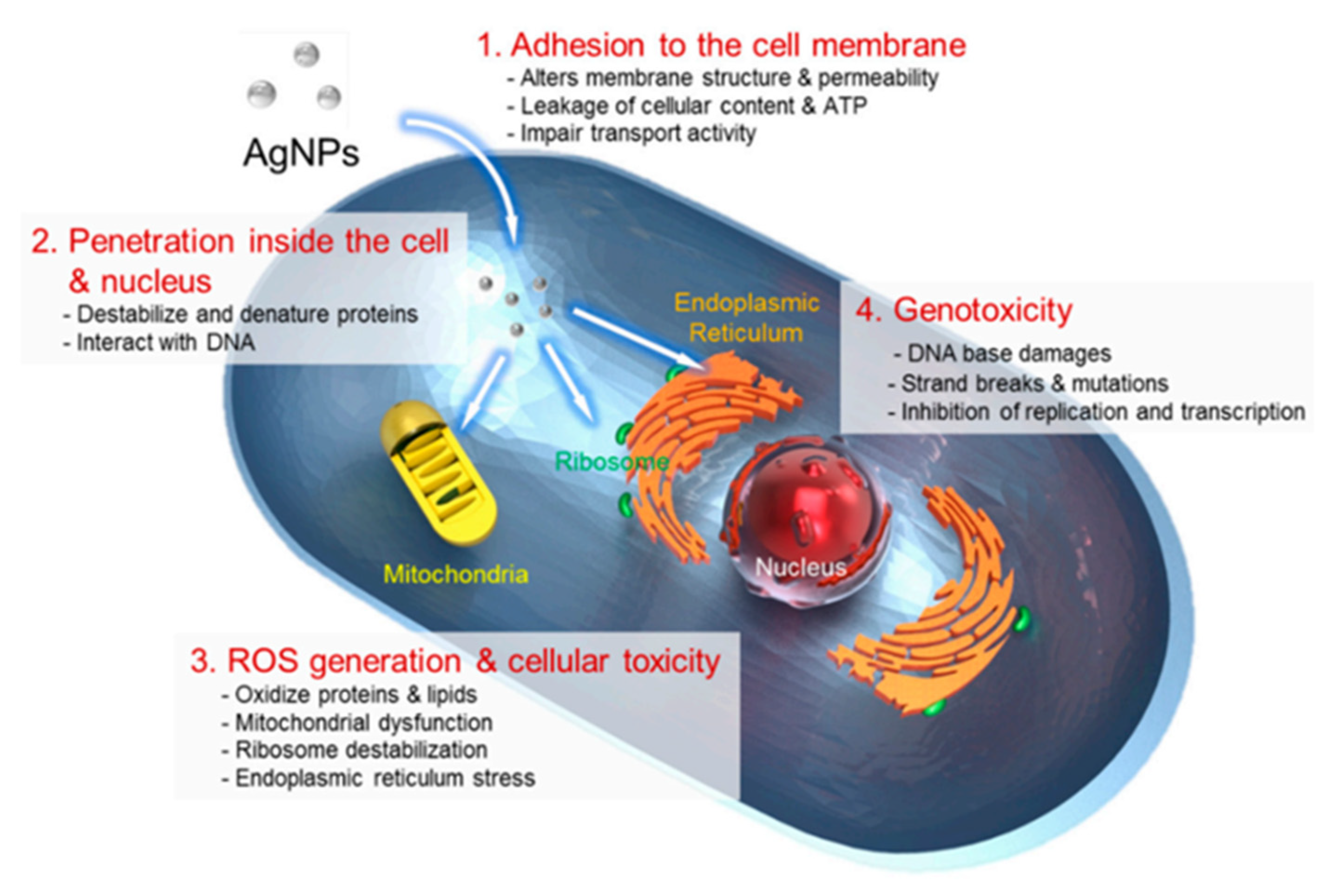 Coatings 12 01679 g005