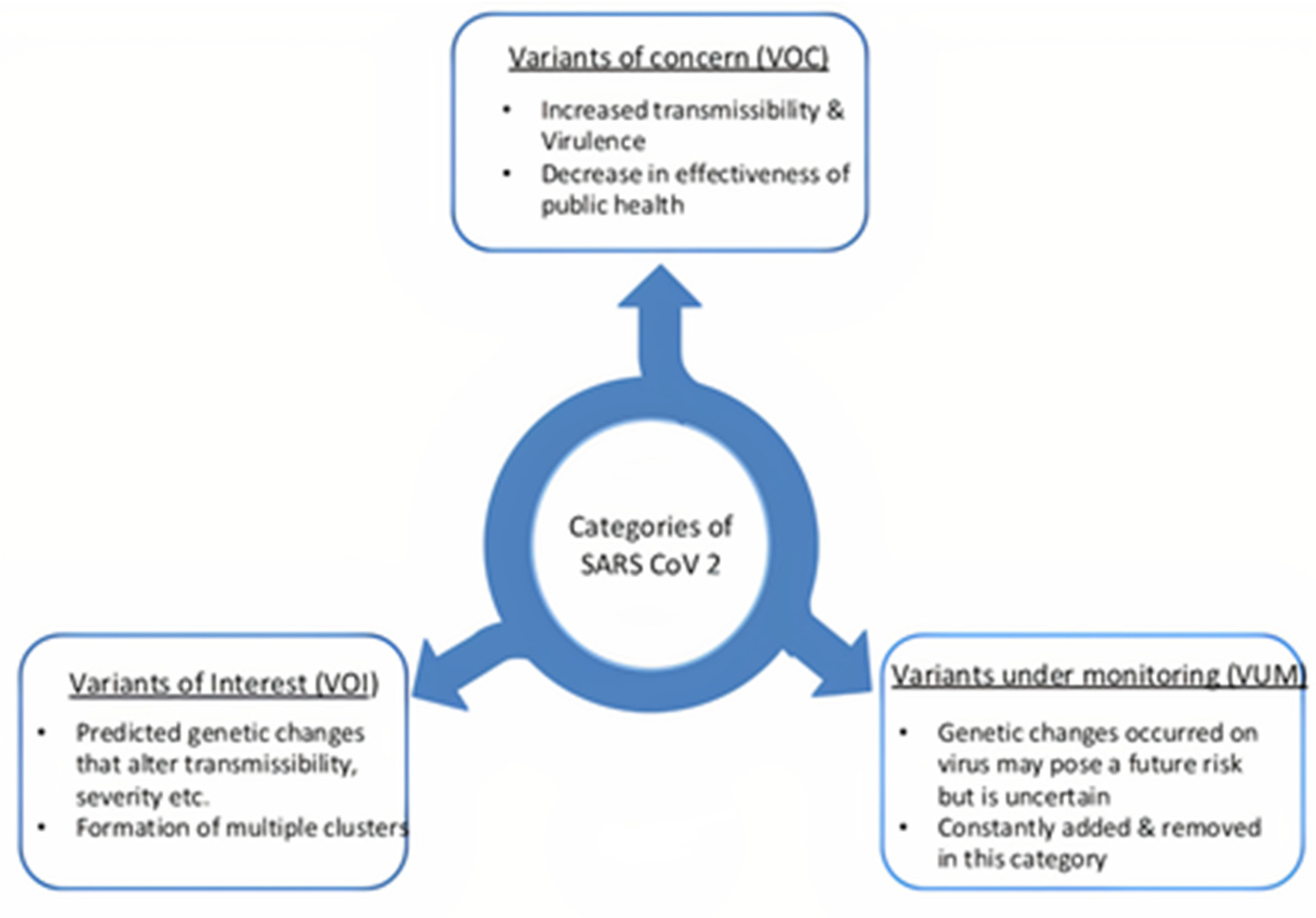 Coatings 12 01679 g006
