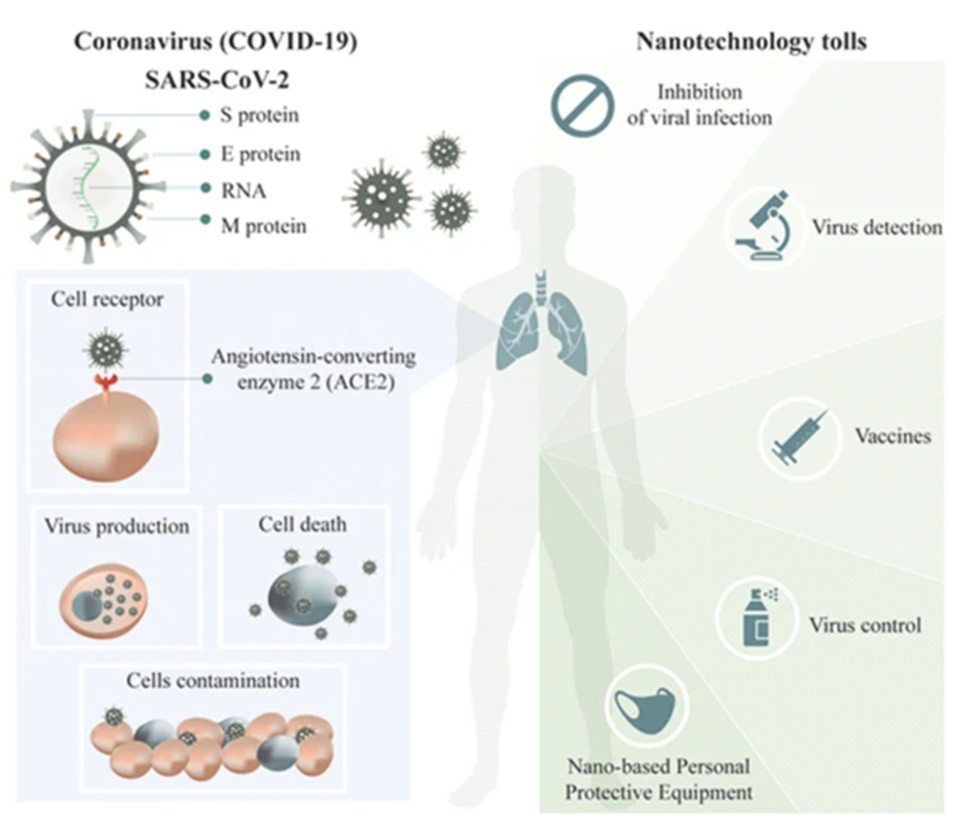 Coatings 12 01679 g007