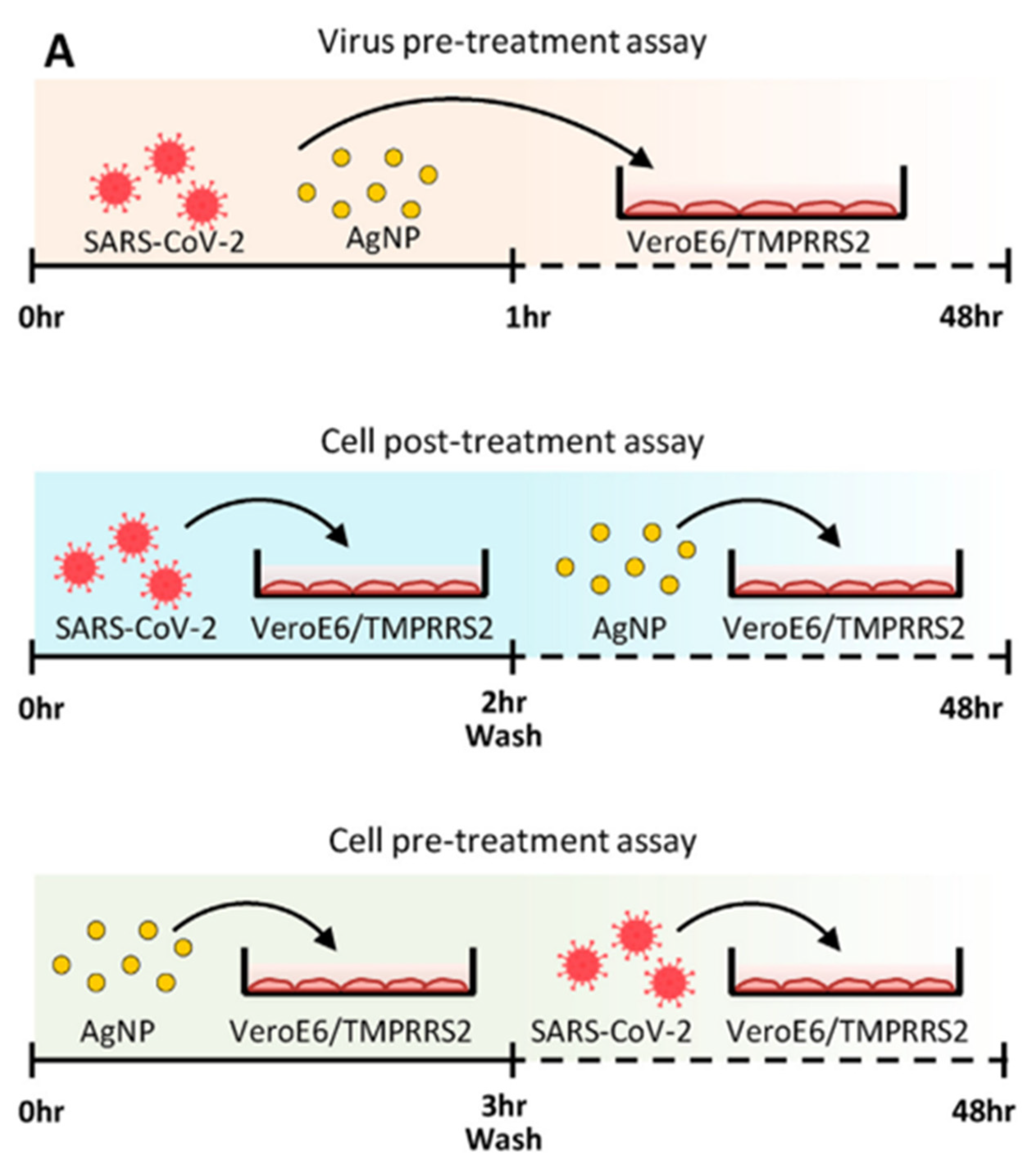 Coatings 12 01679 g008