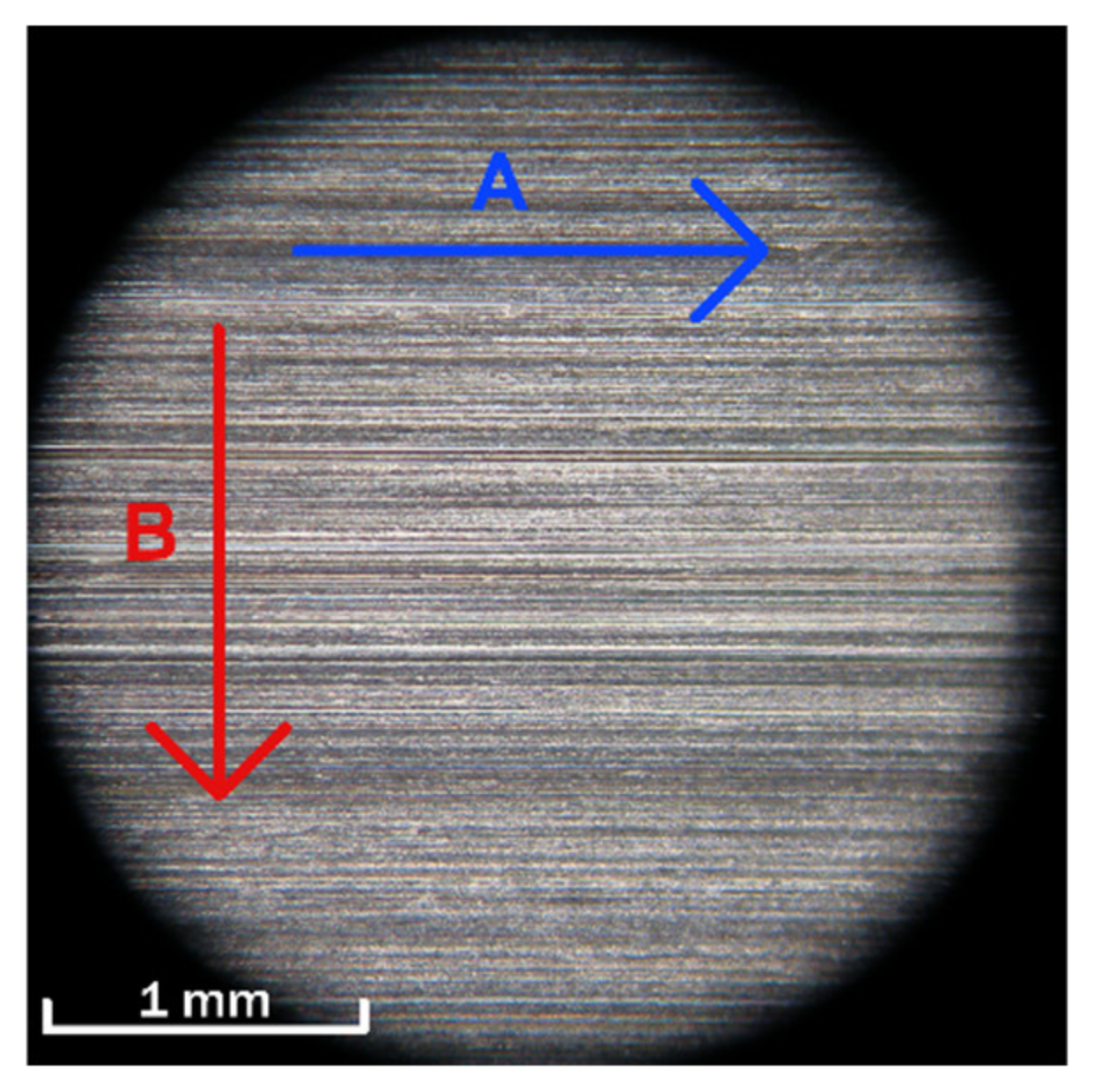 Coatings 12 01695 g001