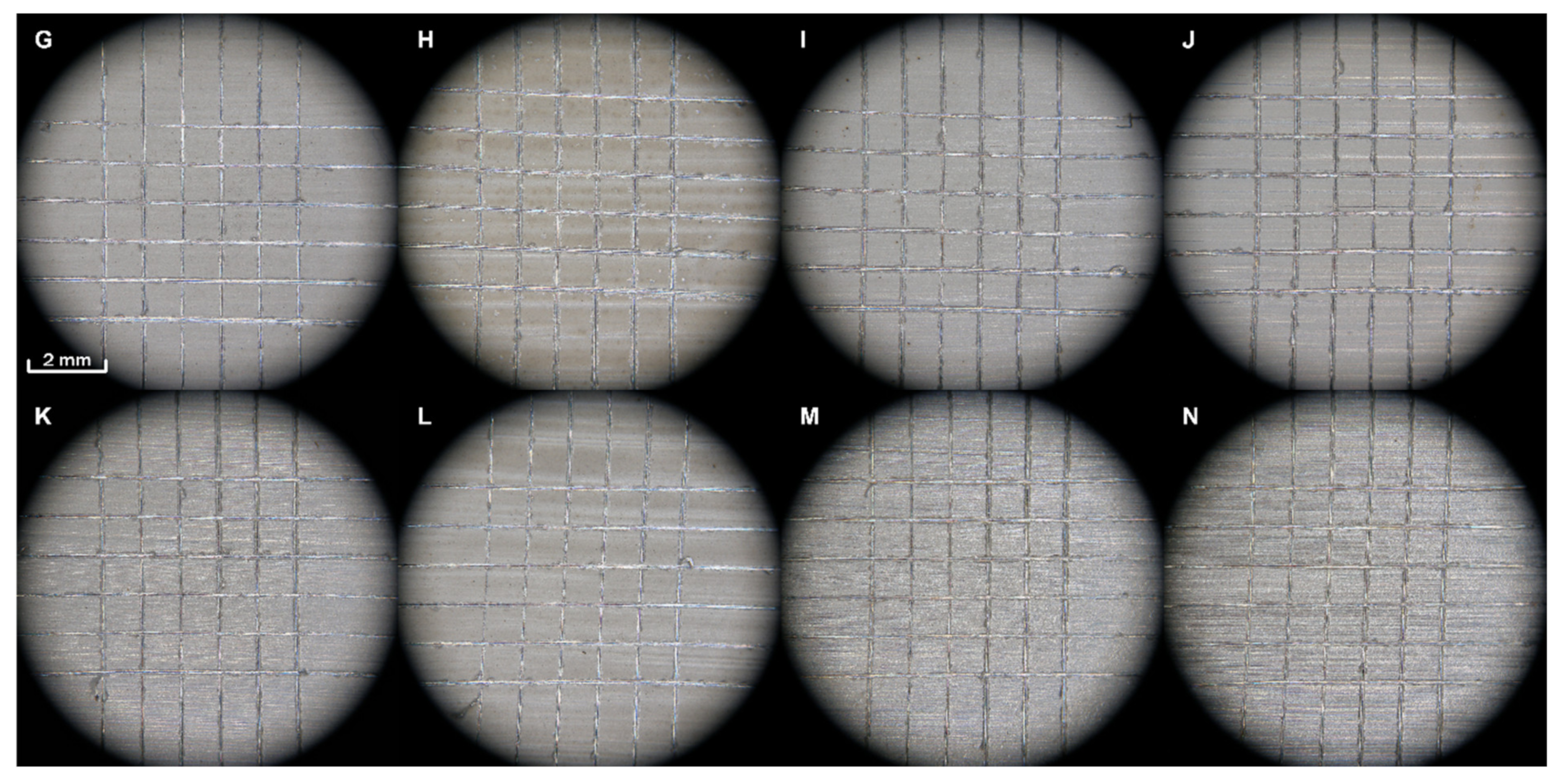 Coatings 12 01695 g005