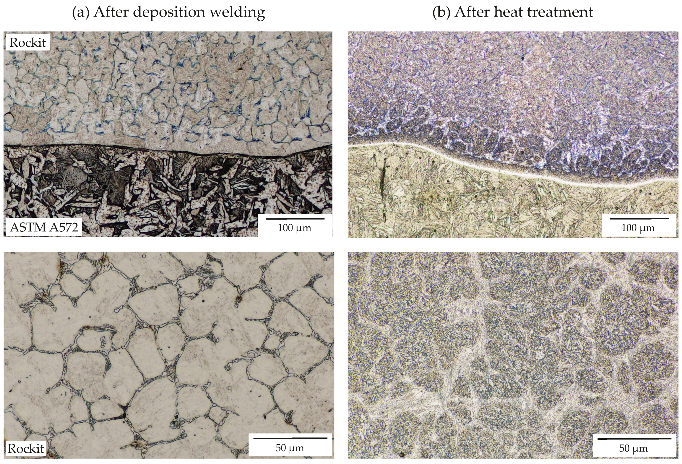 Coatings 12 01699 g003