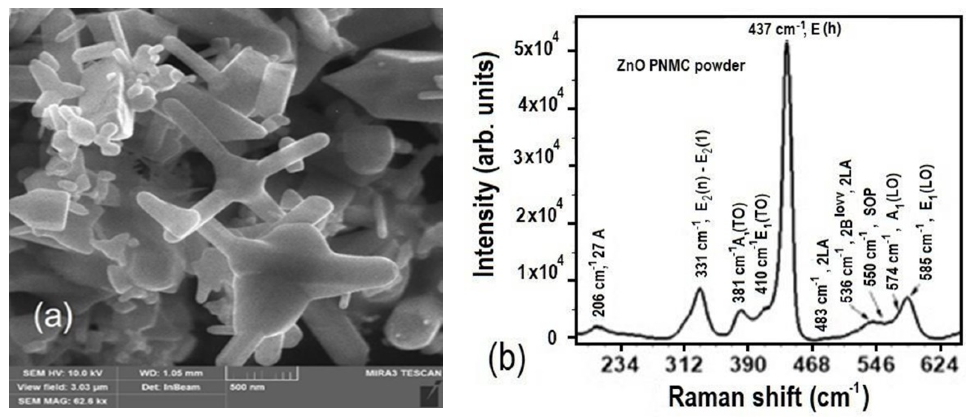Coatings 12 01705 g001