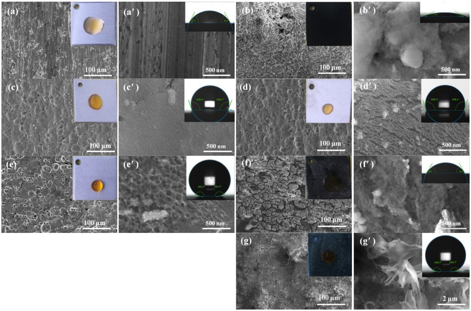 Coatings 12 01717 g002