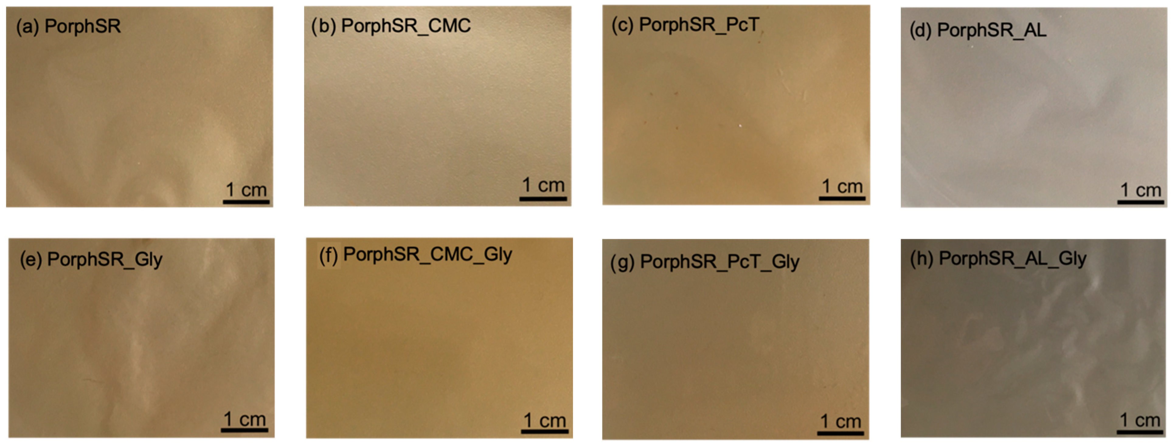 Coatings 12 01720 g002