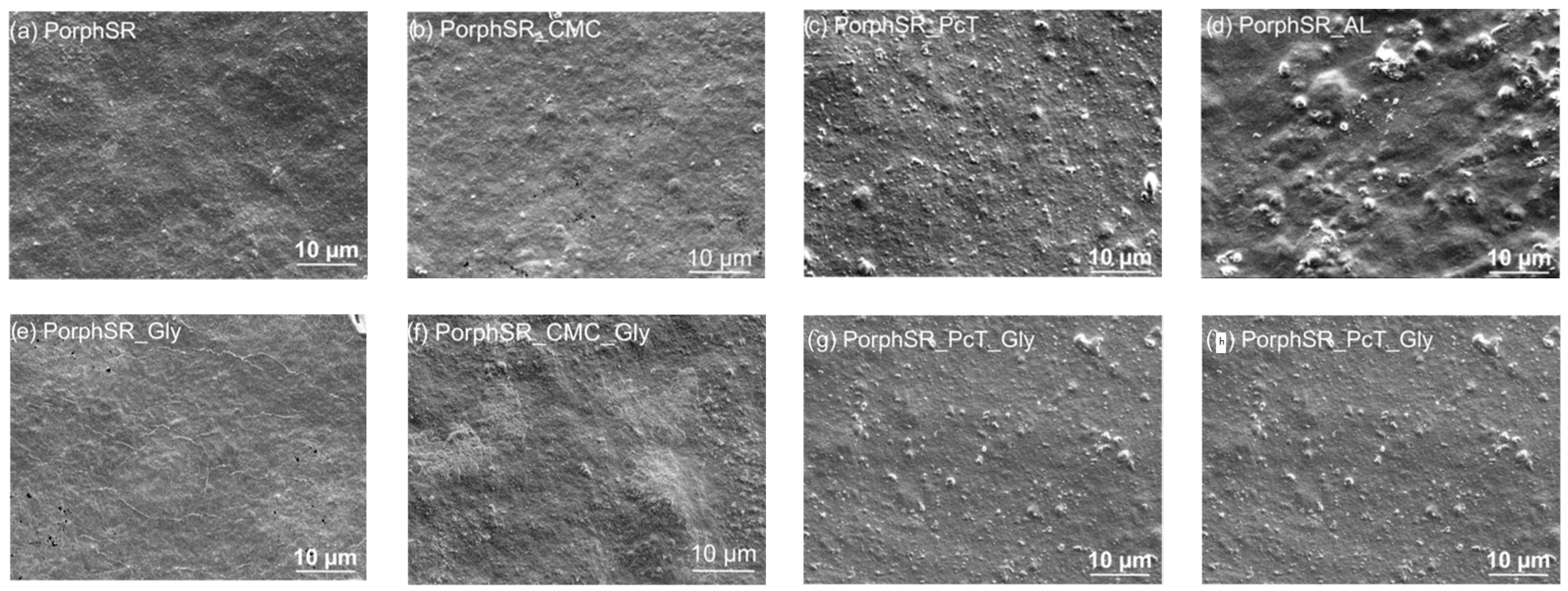 Coatings 12 01720 g003