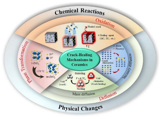 Coatings 12 01724 g003