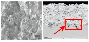 Coatings 12 01724 i004