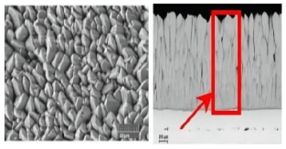 Coatings 12 01724 i005