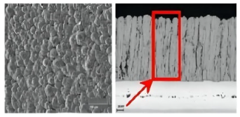 Coatings 12 01724 i006