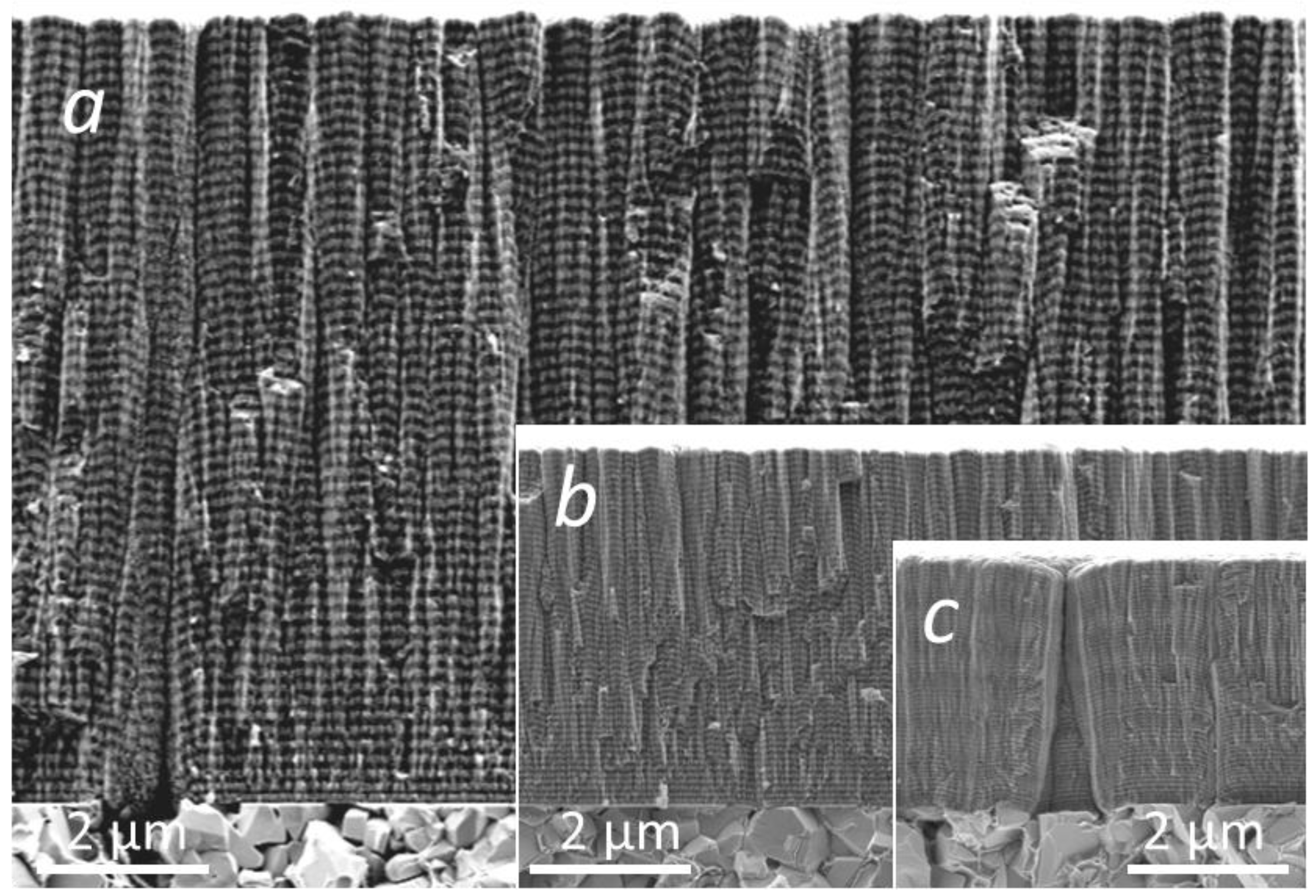 Coatings 12 01725 g001