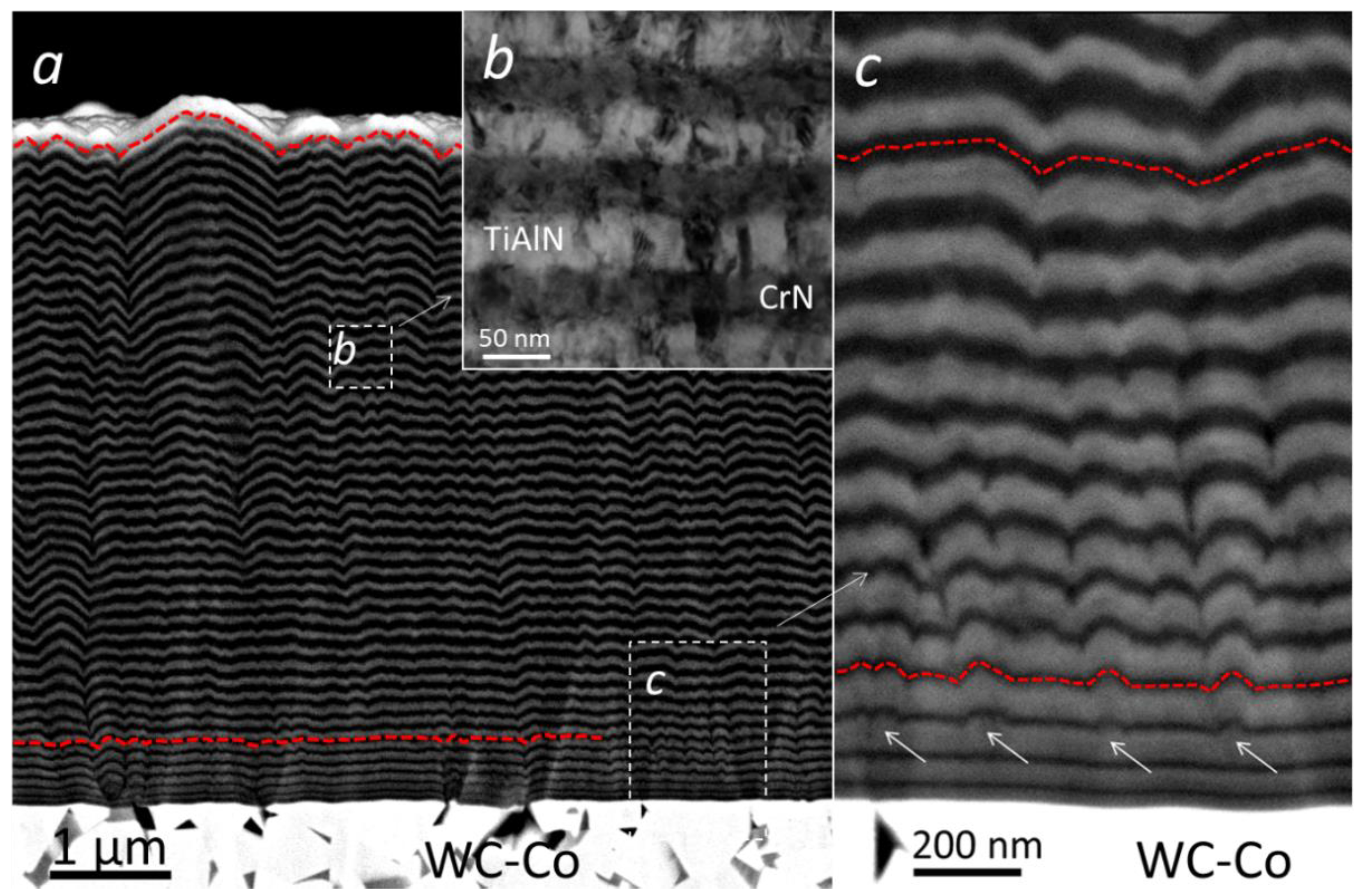 Coatings 12 01725 g005