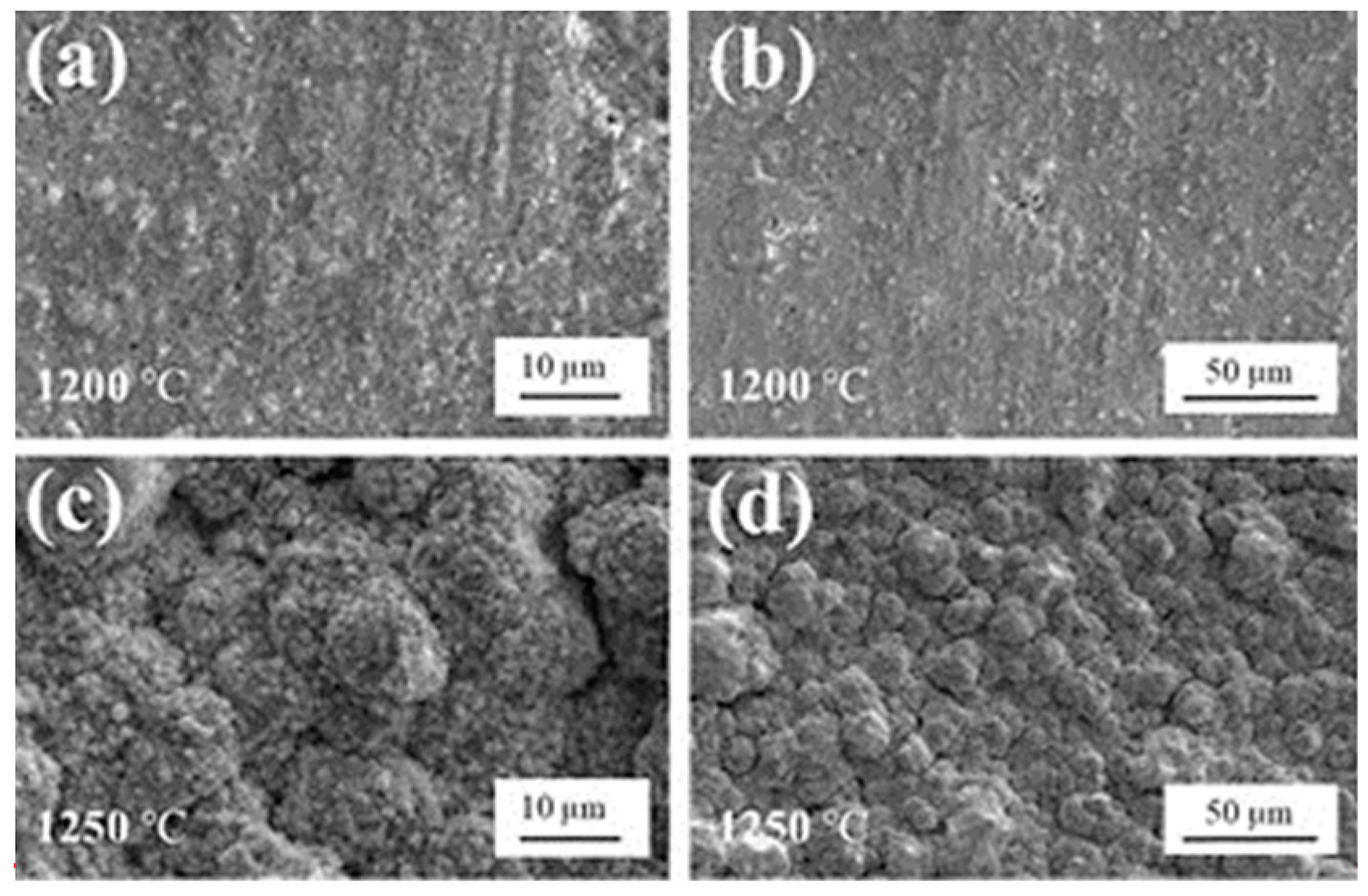 Coatings 12 01731 g003