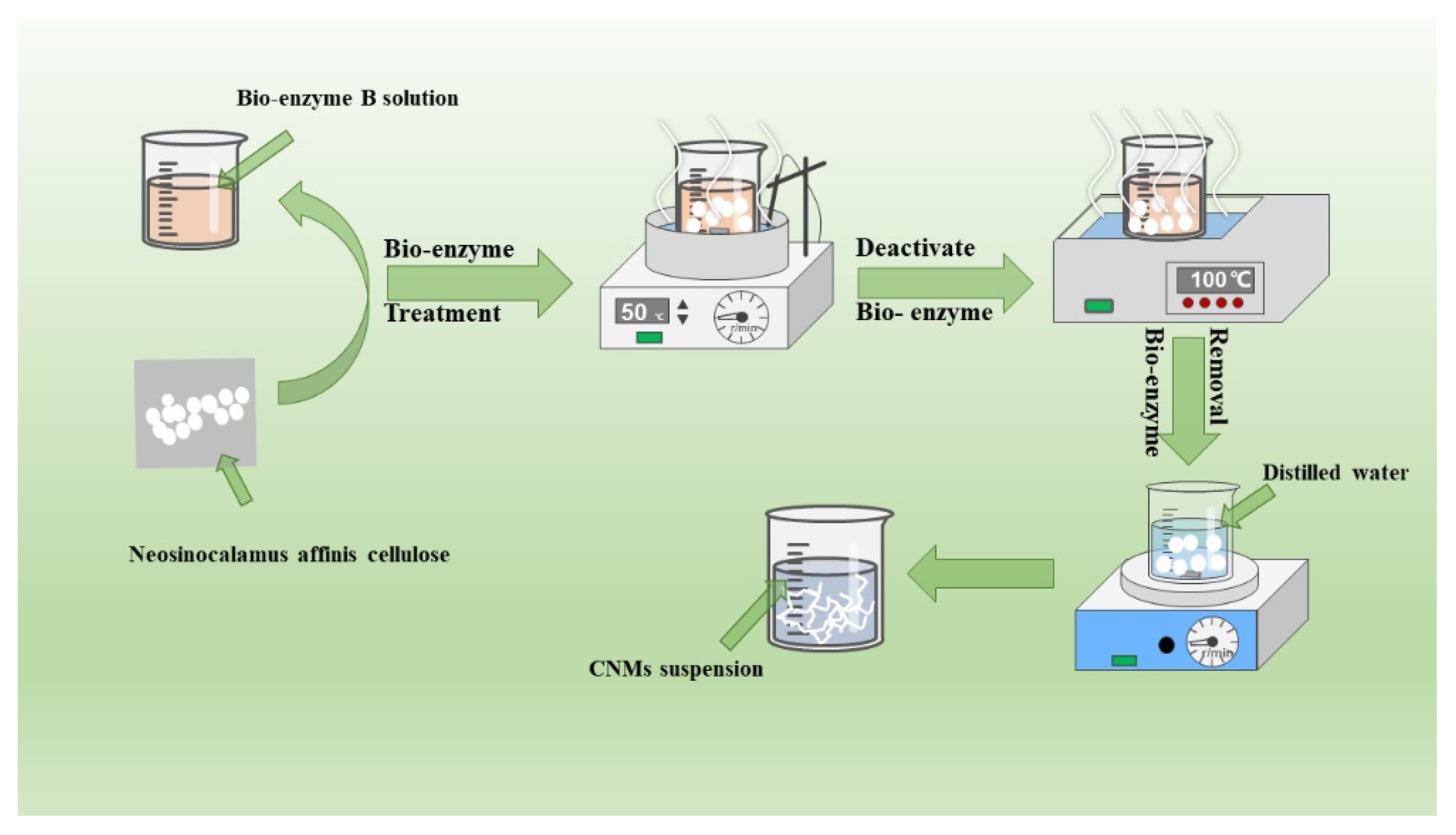 Coatings 12 01734 g002
