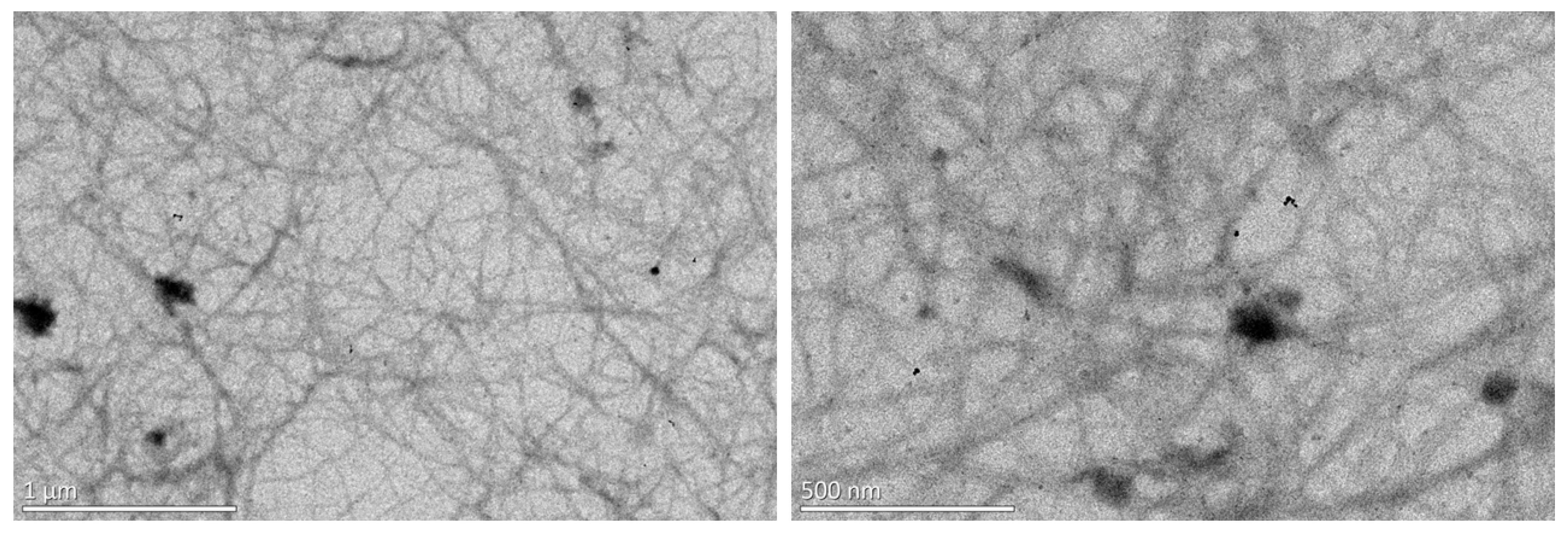 Coatings 12 01734 g009