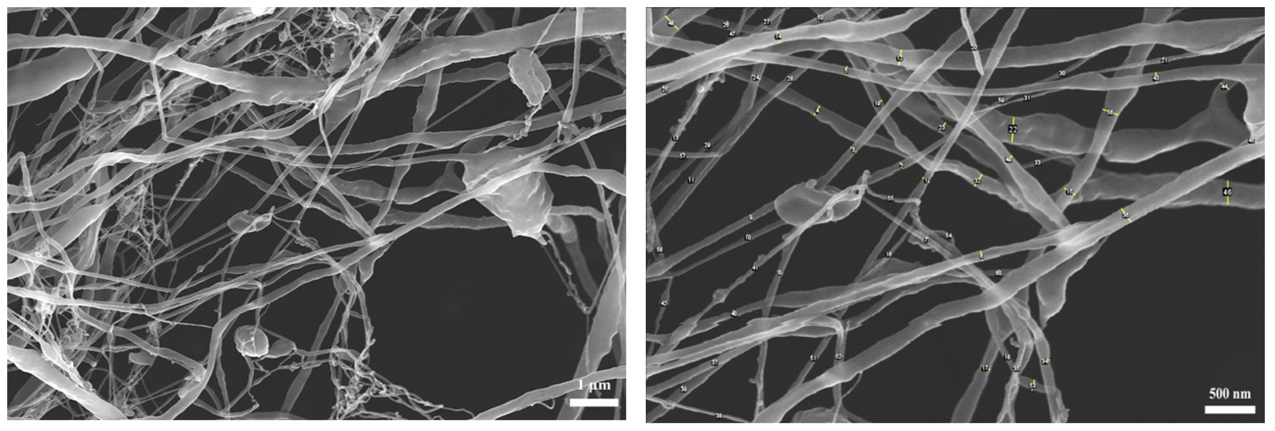 Coatings 12 01734 g010
