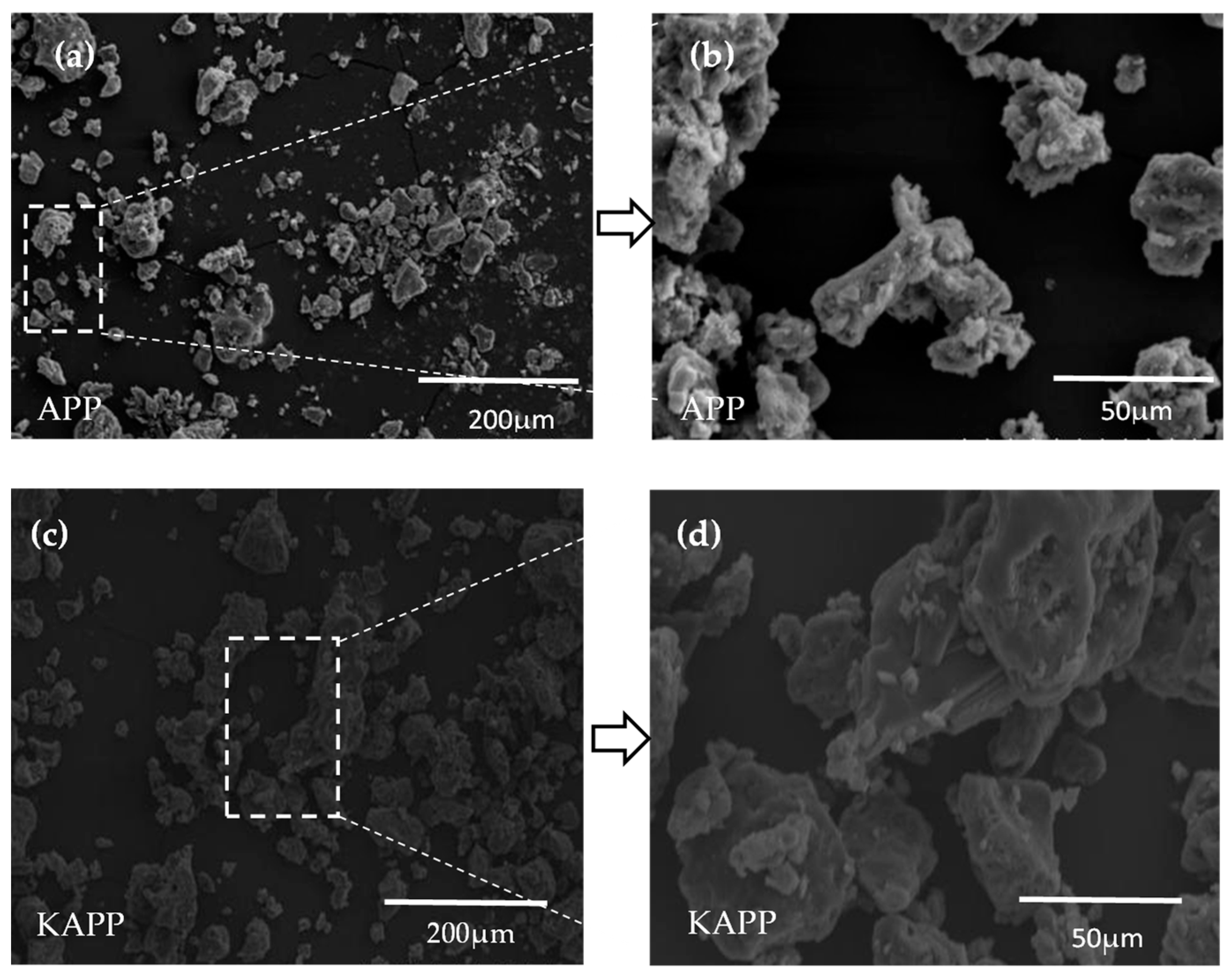 Coatings 12 01738 g004 Coatings 12 01738 g004