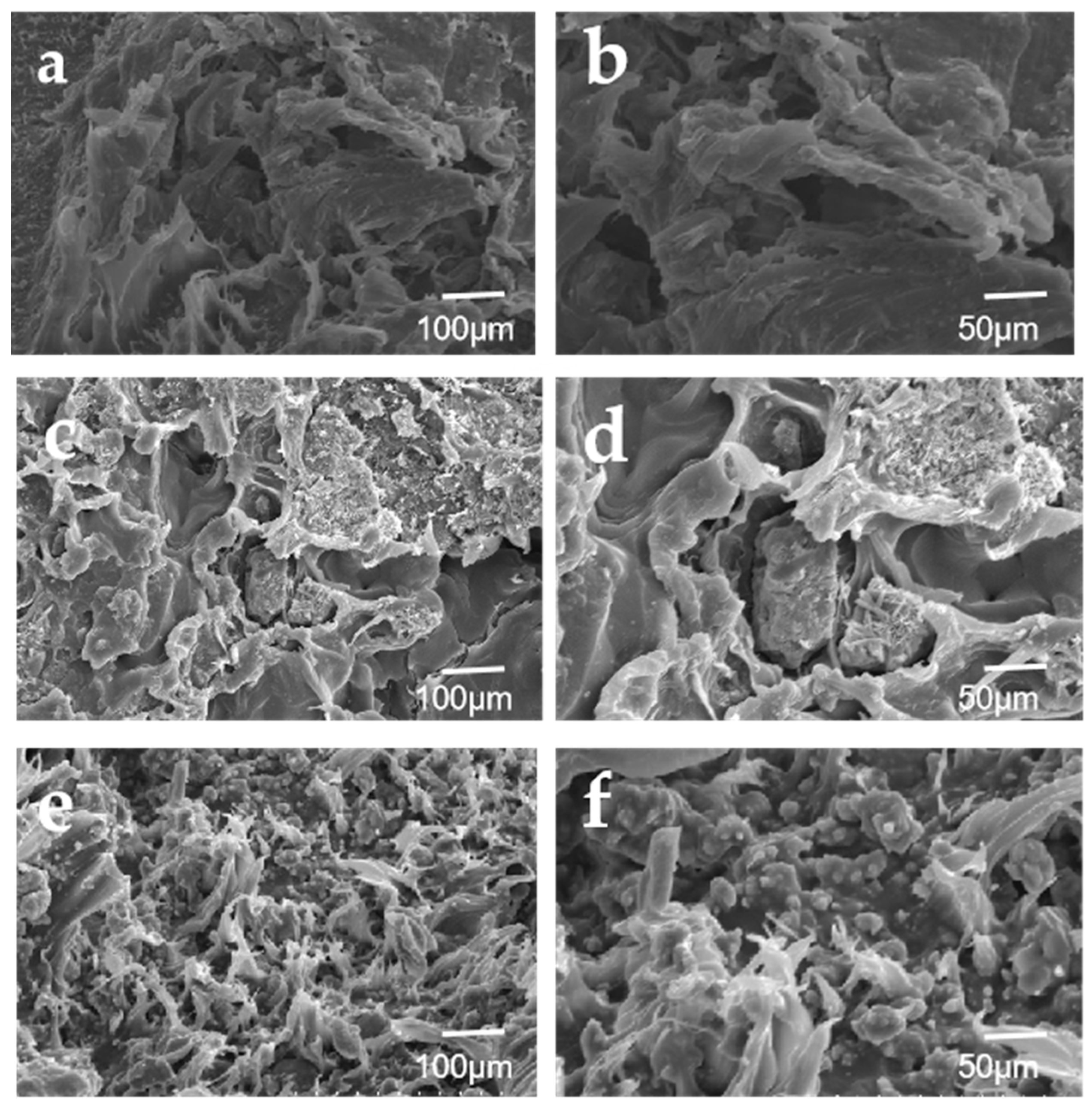 Coatings 12 01738 g011 Coatings 12 01738 g011