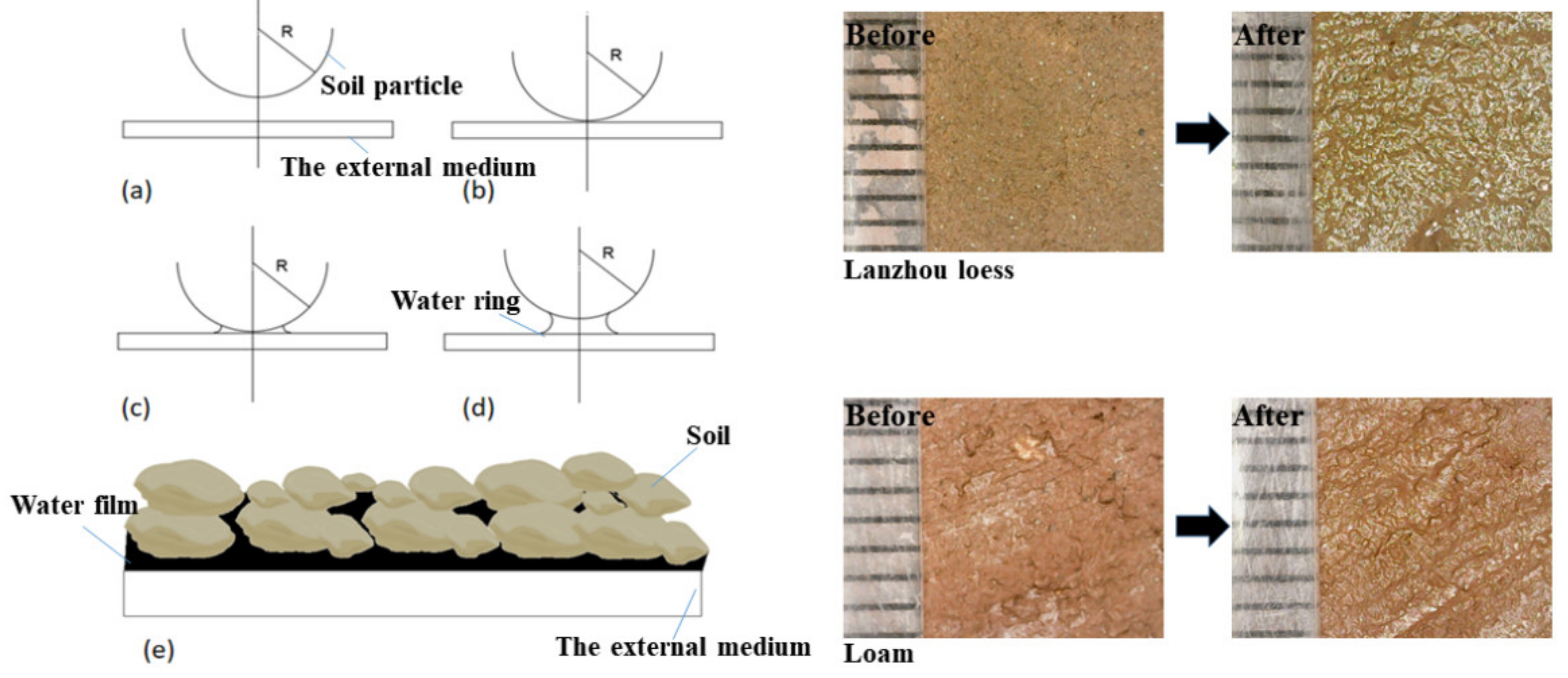 Coatings 12 01743 g012