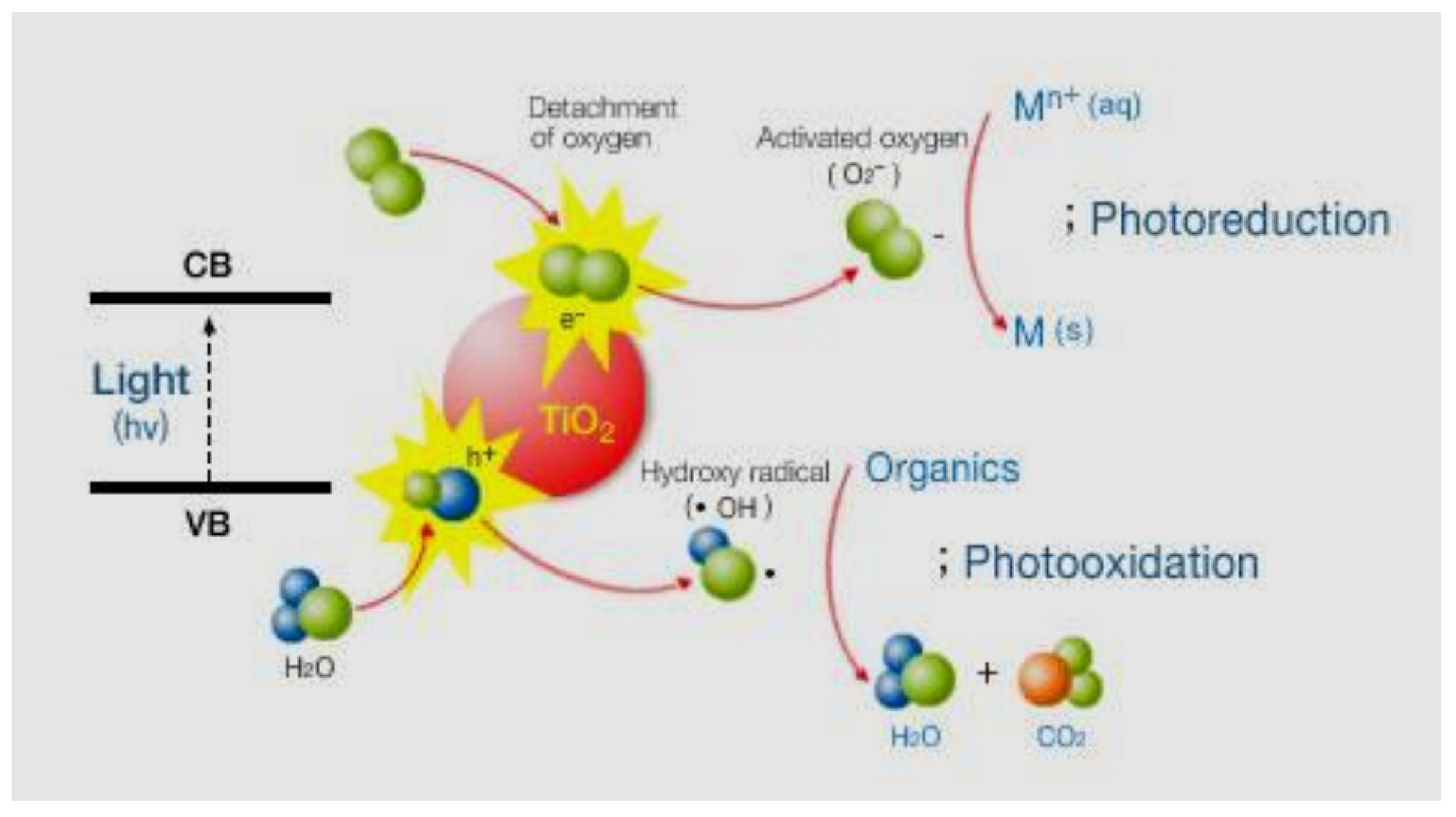 Coatings 12 01746 g013