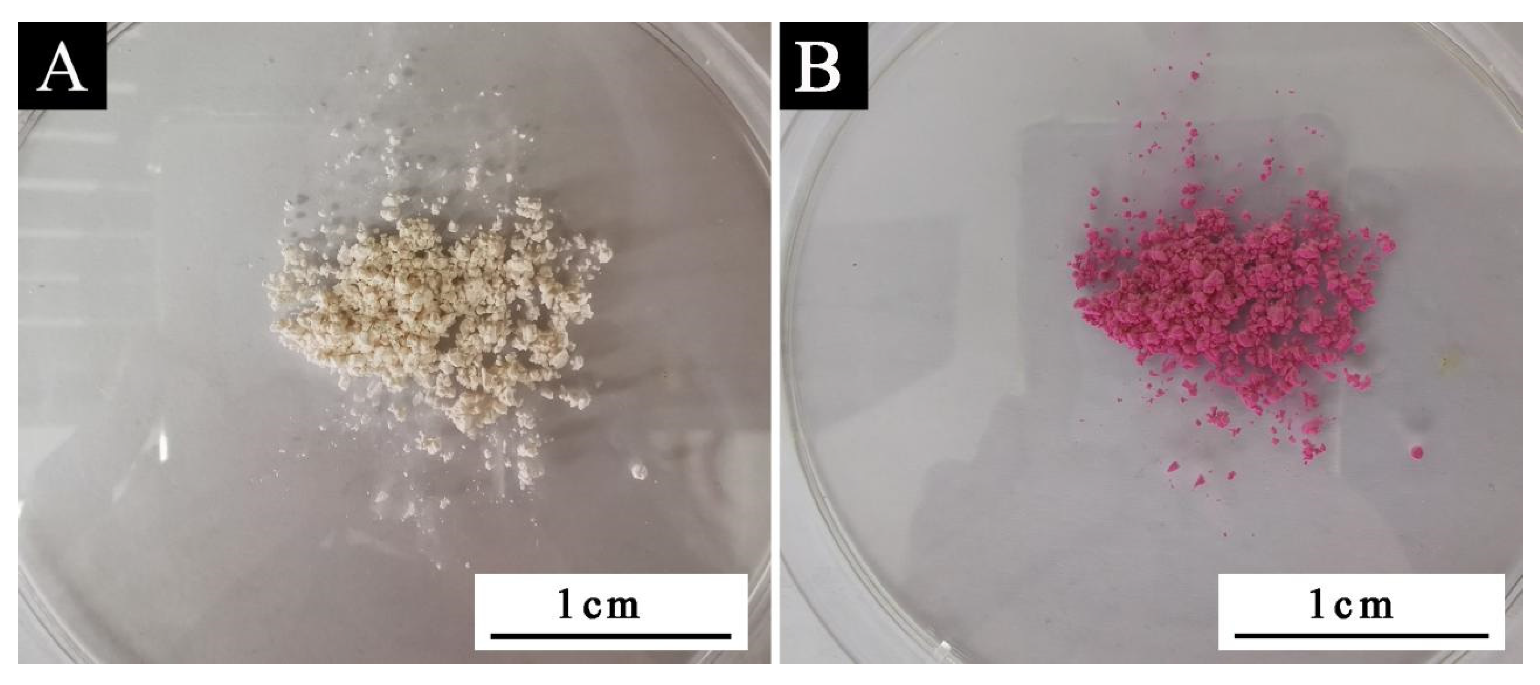 Coatings 12 01750 g001