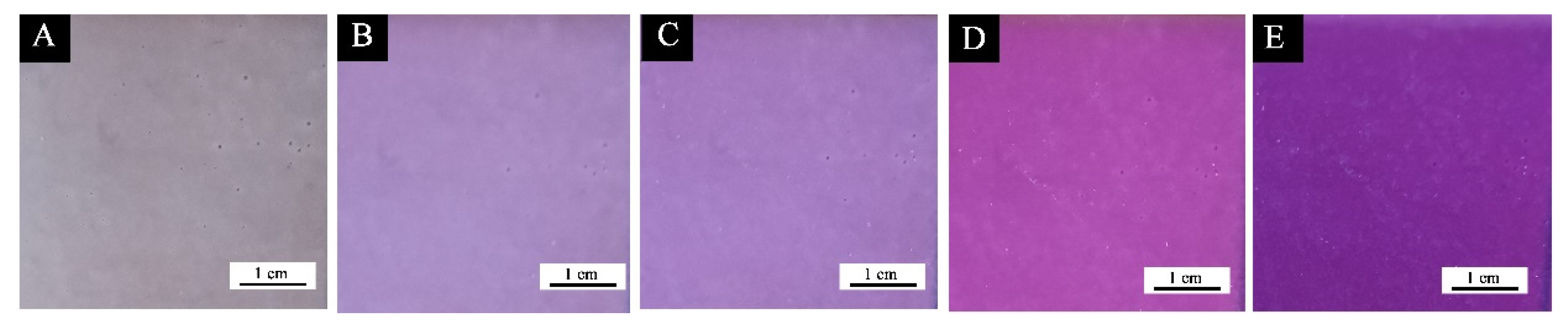 Coatings 12 01750 g008