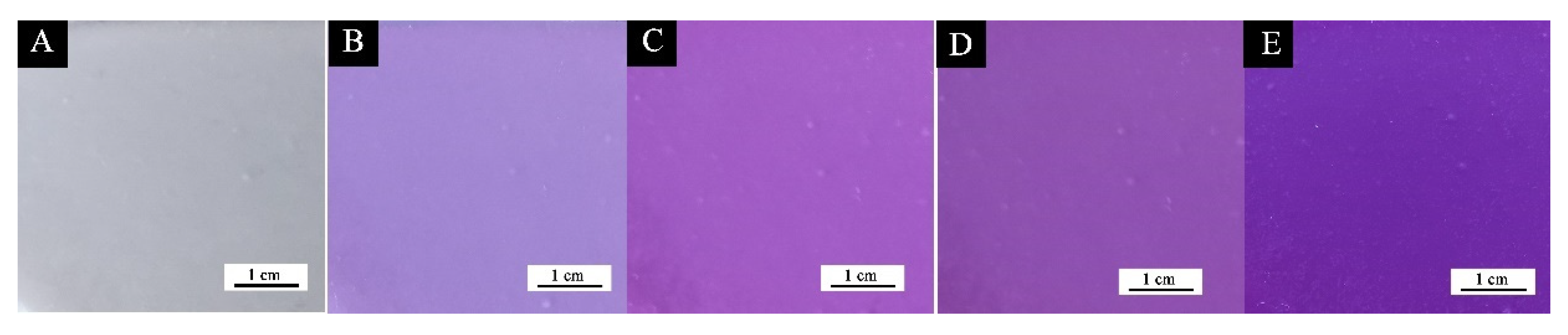 Coatings 12 01750 g009