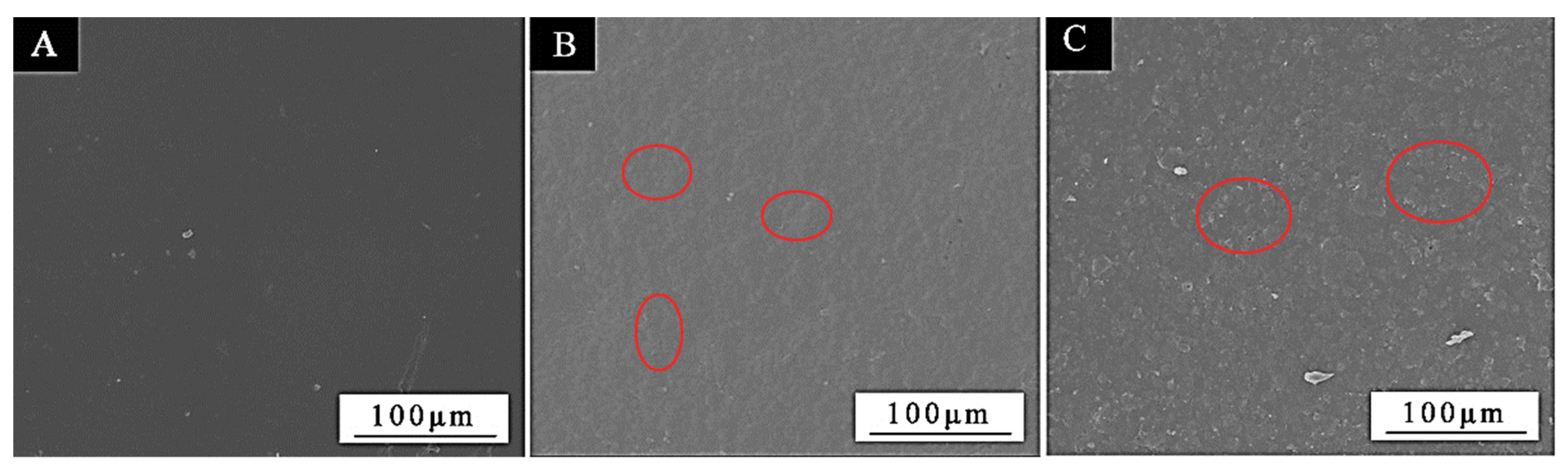 Coatings 12 01750 g010