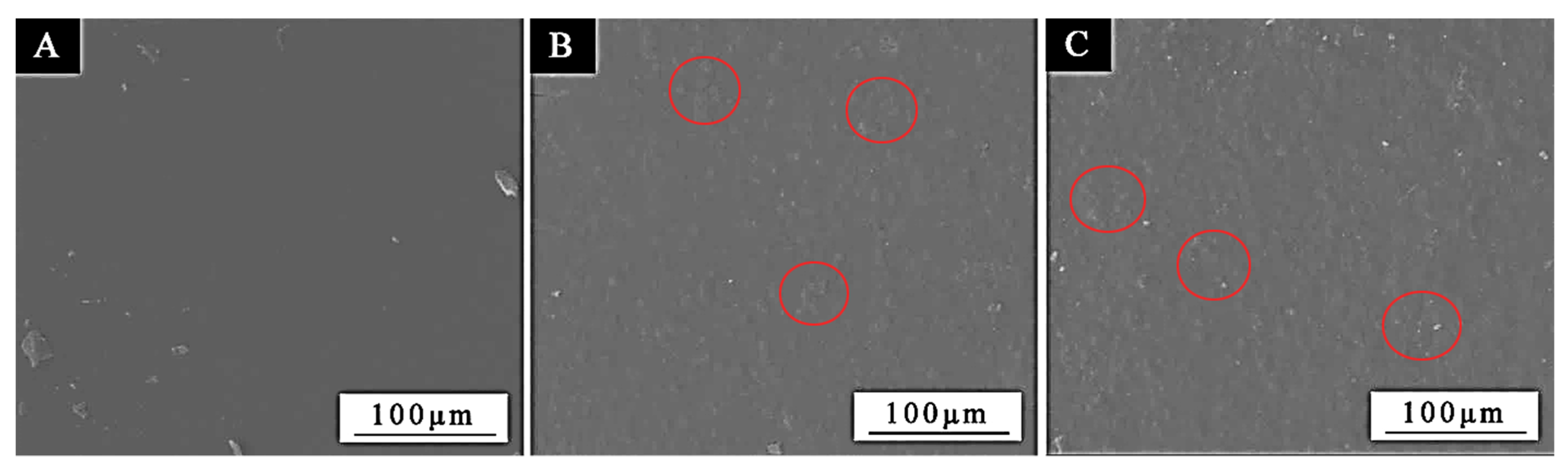 Coatings 12 01750 g011