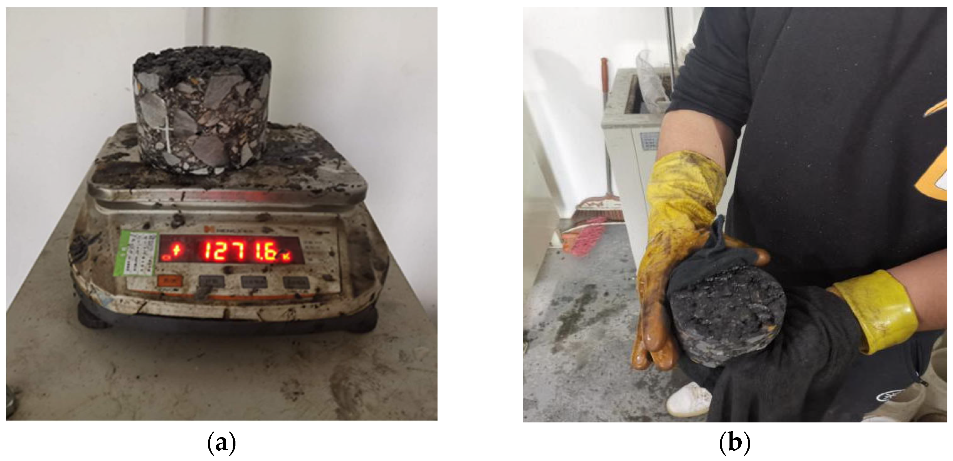 Coatings 12 01751 g005