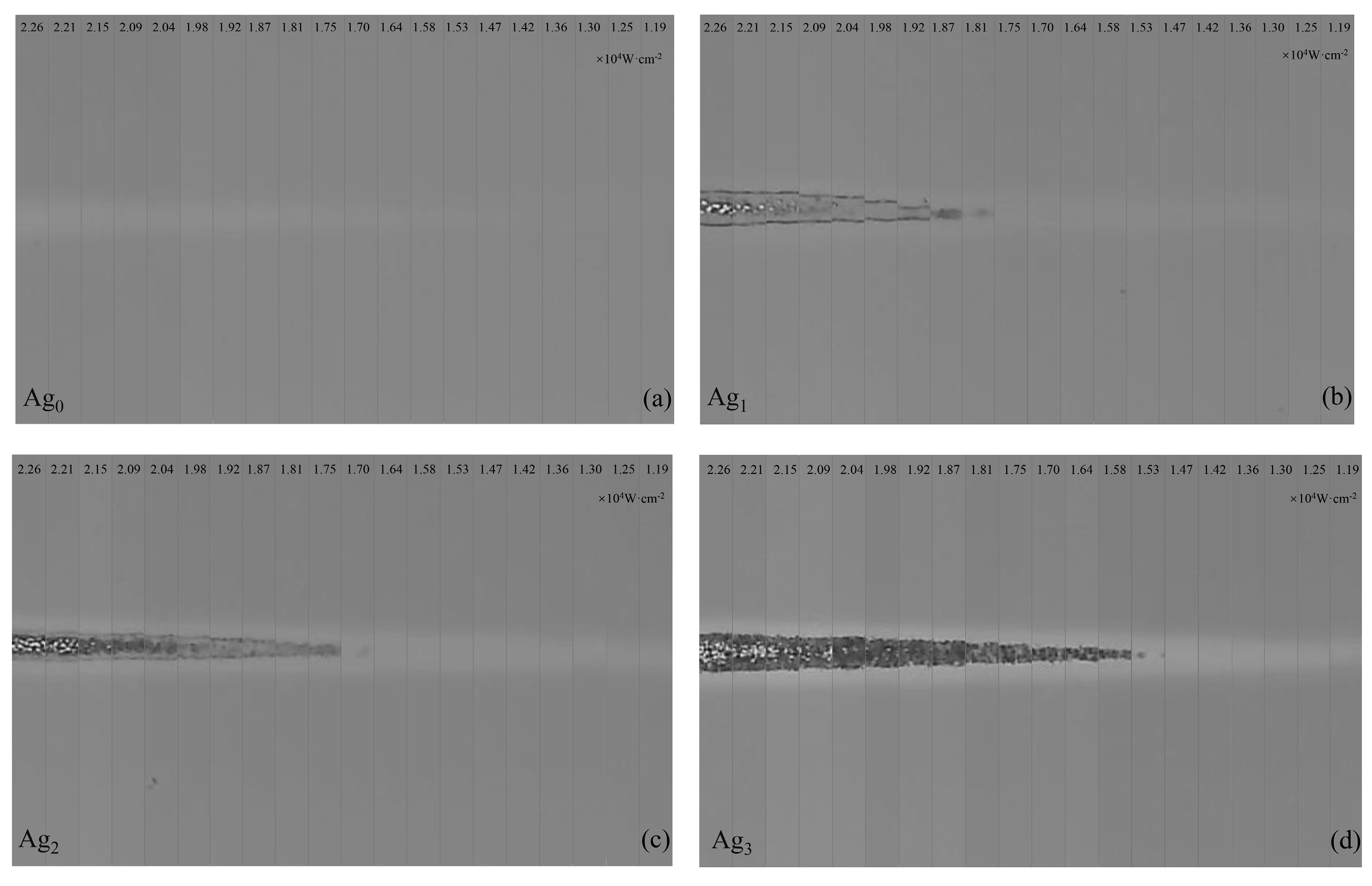 Coatings 12 01760 g004 Coatings 12 01760 g004