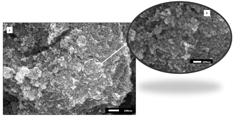 Coatings 12 01764 g007